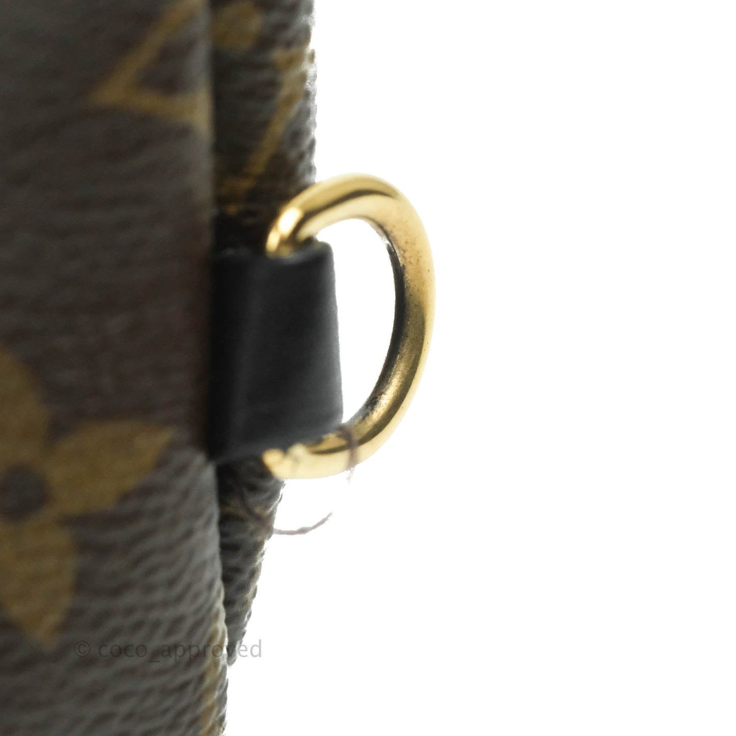 Louis Vuitton Monogram Mini Palm Springs Backpack⁣