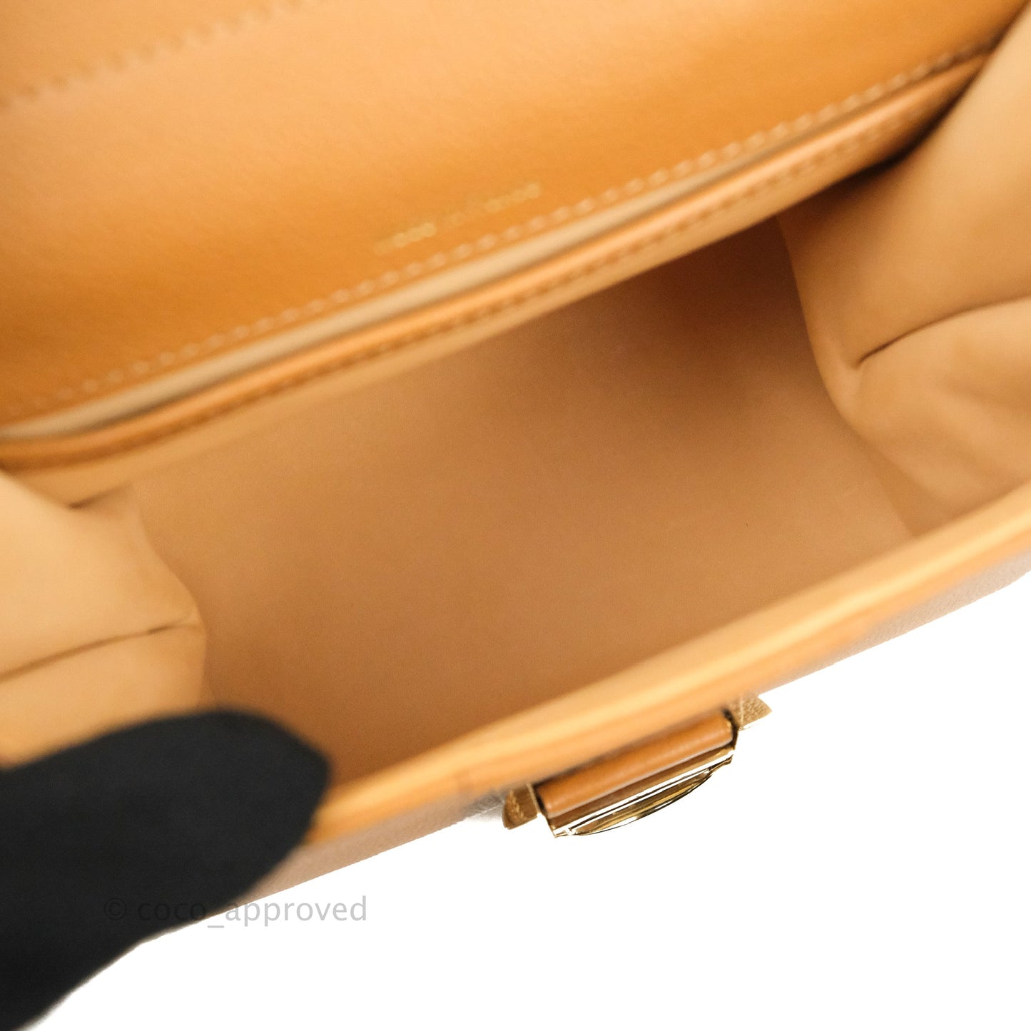 Delvaux Mini Brillant Bag Vegetal Rodeo Calf Gold Hardware