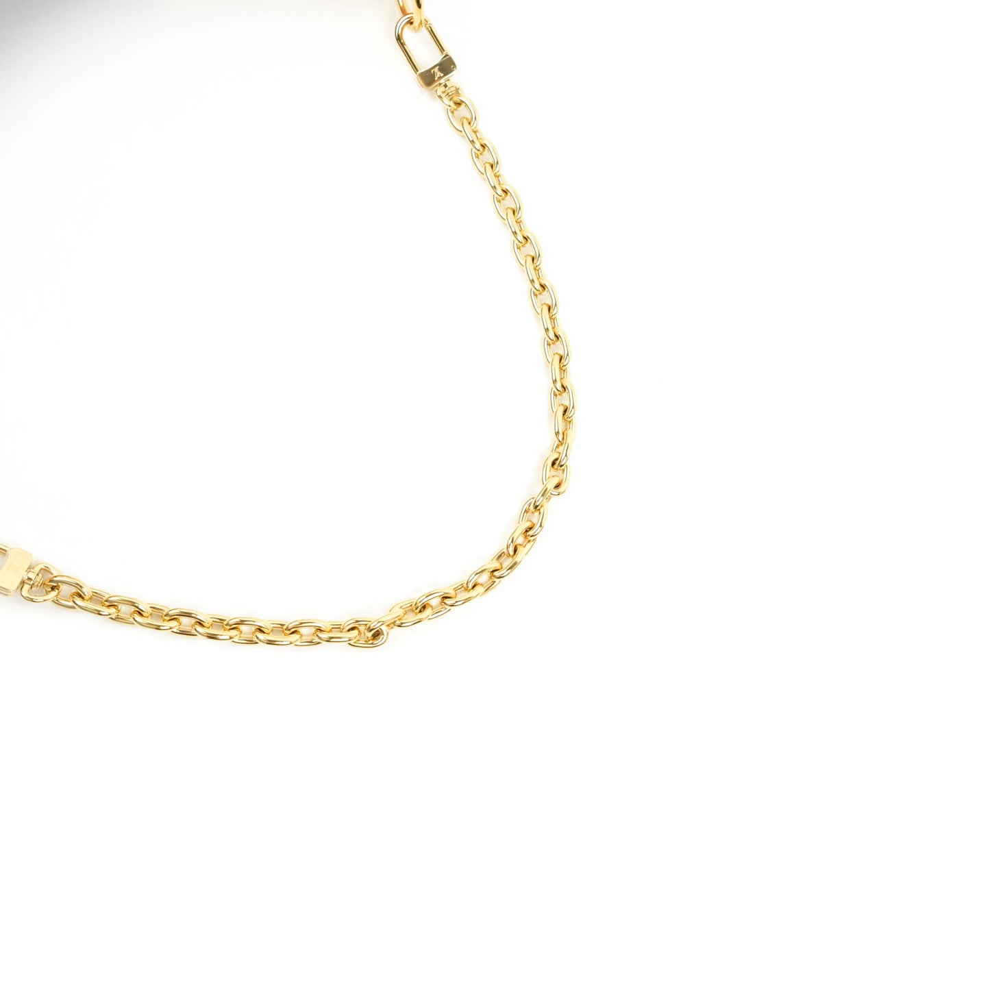 Louis Vuitton Monogram Loop