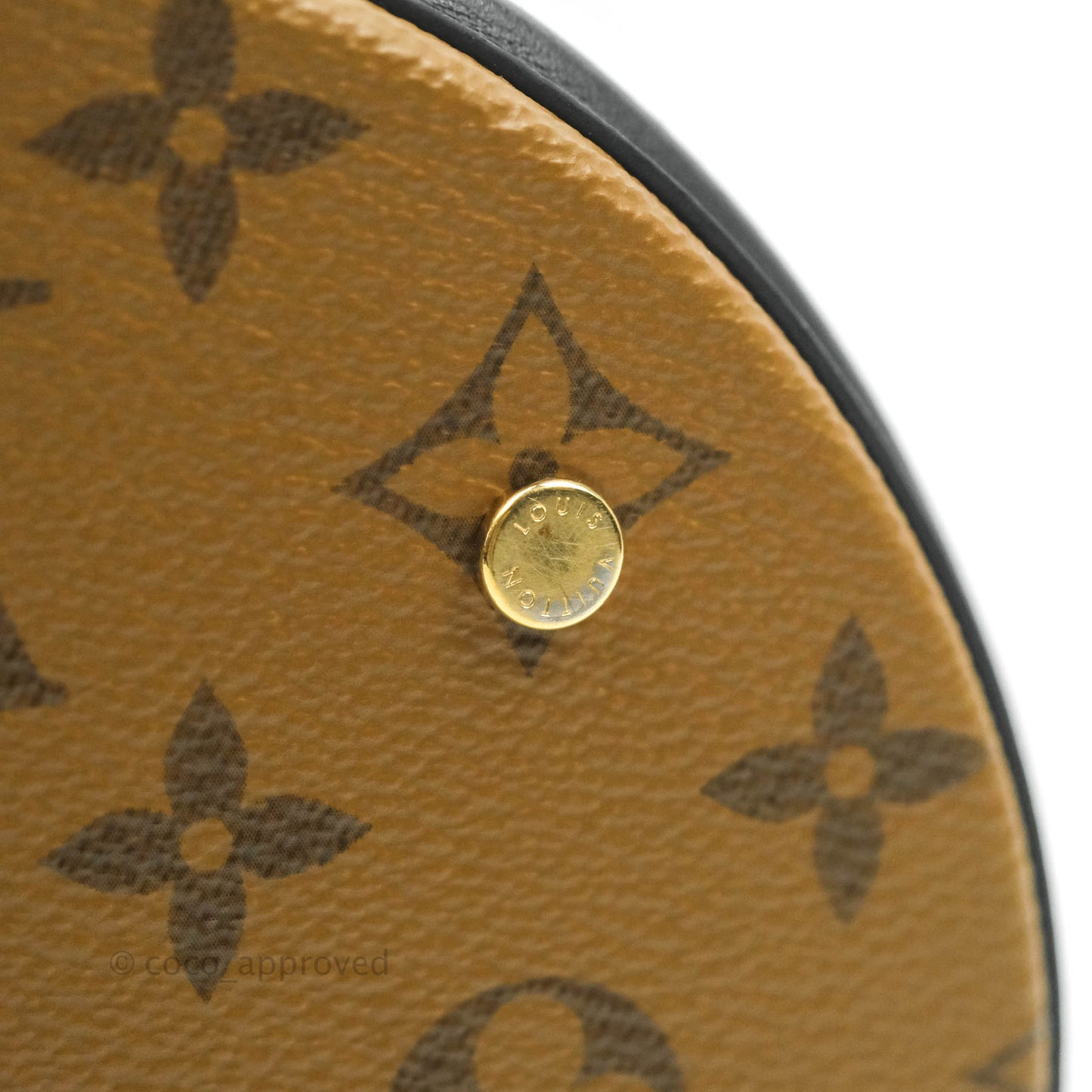 Louis Vuitton Monogram Canvas Reverse Cannes Bag