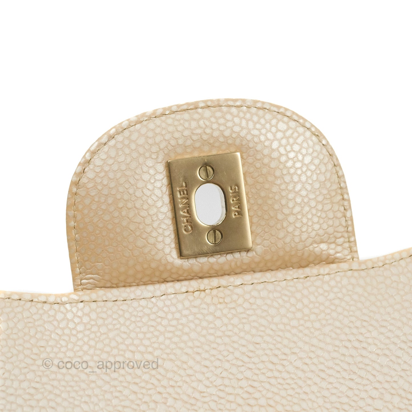 Chanel Jumbo Double Flap Iridescent Pearly Caviar Gold Hardware⁣⁣