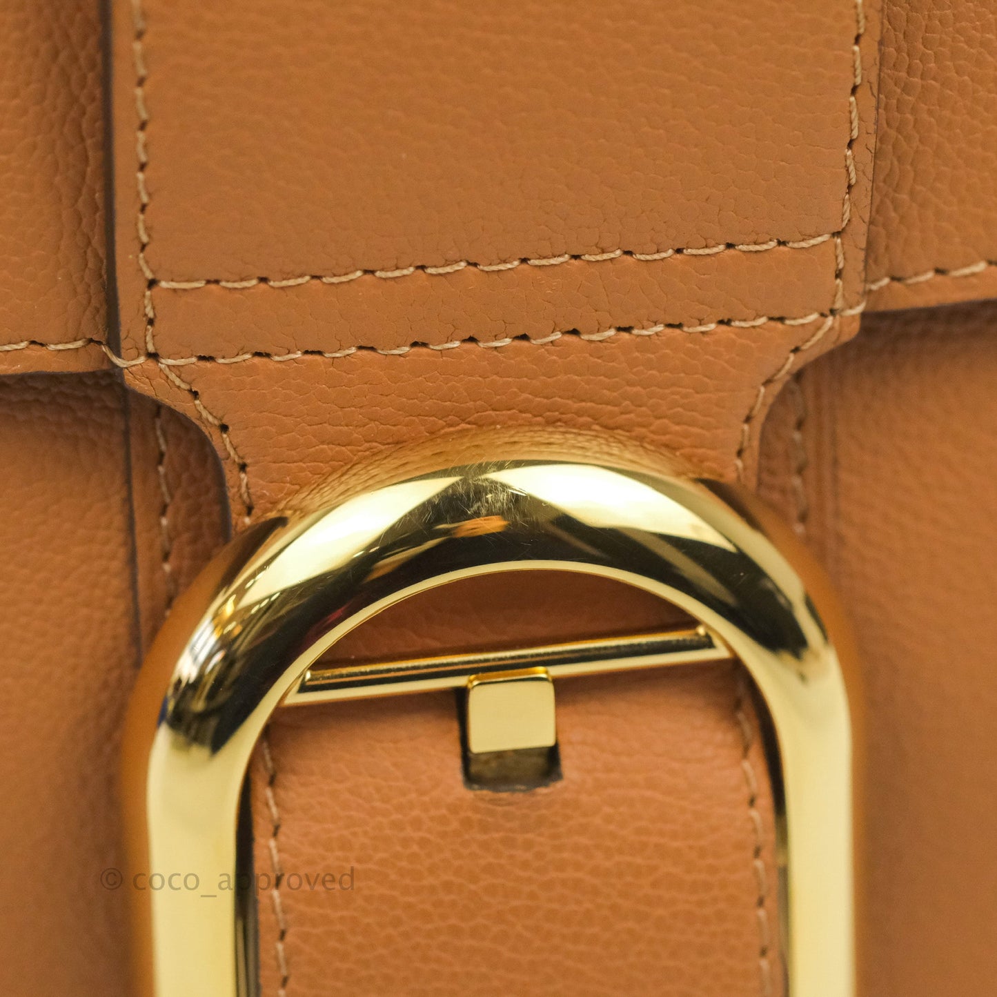 Delvaux Mini Brillant Bag Vegetal Rodeo Calf Gold Hardware