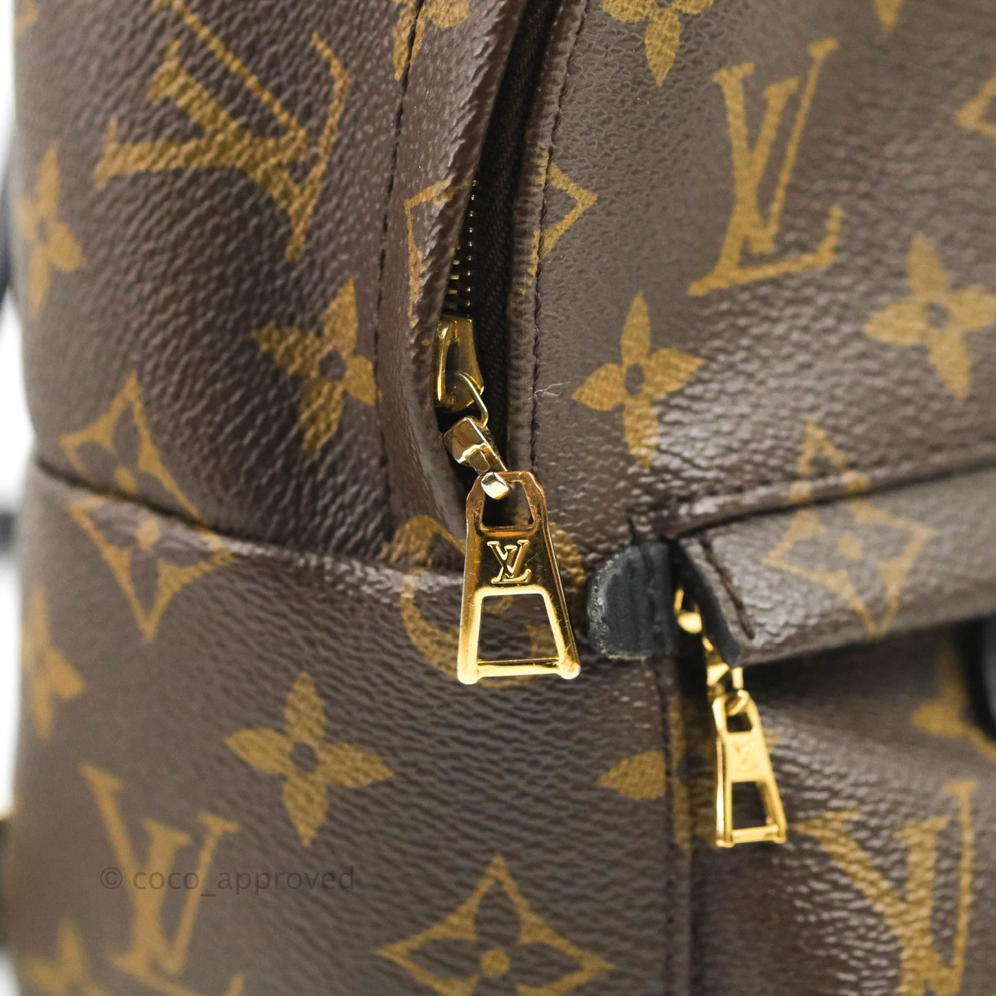 Louis Vuitton Monogram Mini Palm Springs Backpack⁣