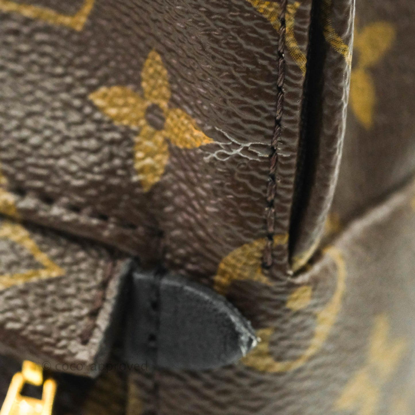 Louis Vuitton Monogram Mini Palm Springs Backpack⁣