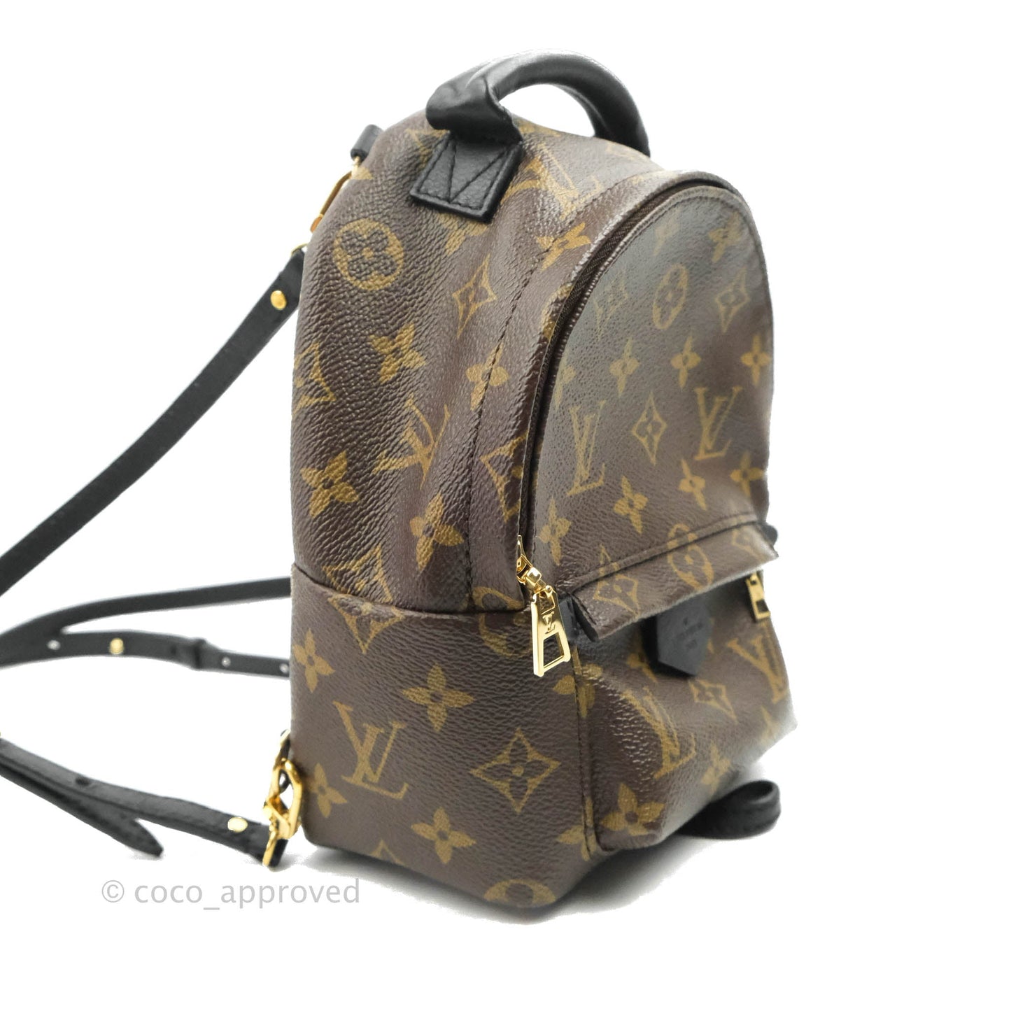 Louis Vuitton Monogram Mini Palm Springs Backpack⁣