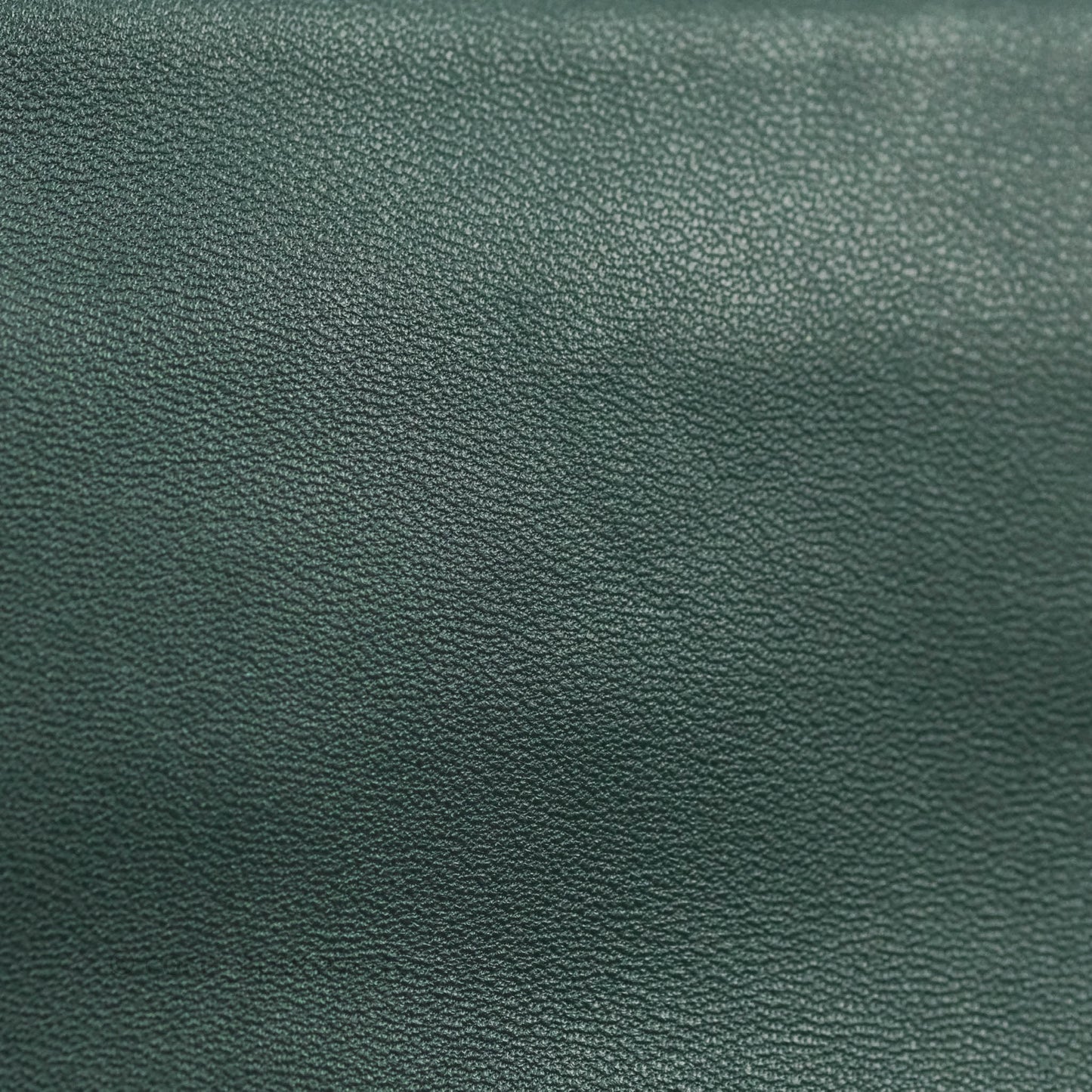 Celine Large Trio Crossbody Bag Dark Green Lambskin Gold Hardware