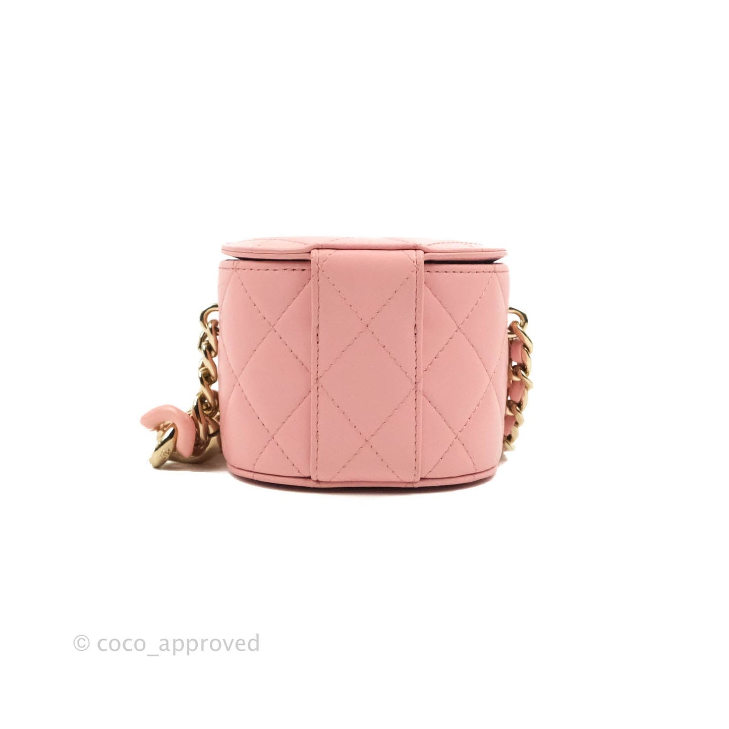 Chanel Quilted Small Resin Elegant Chain Vanity Case Lambskin Pink Gold Hardware