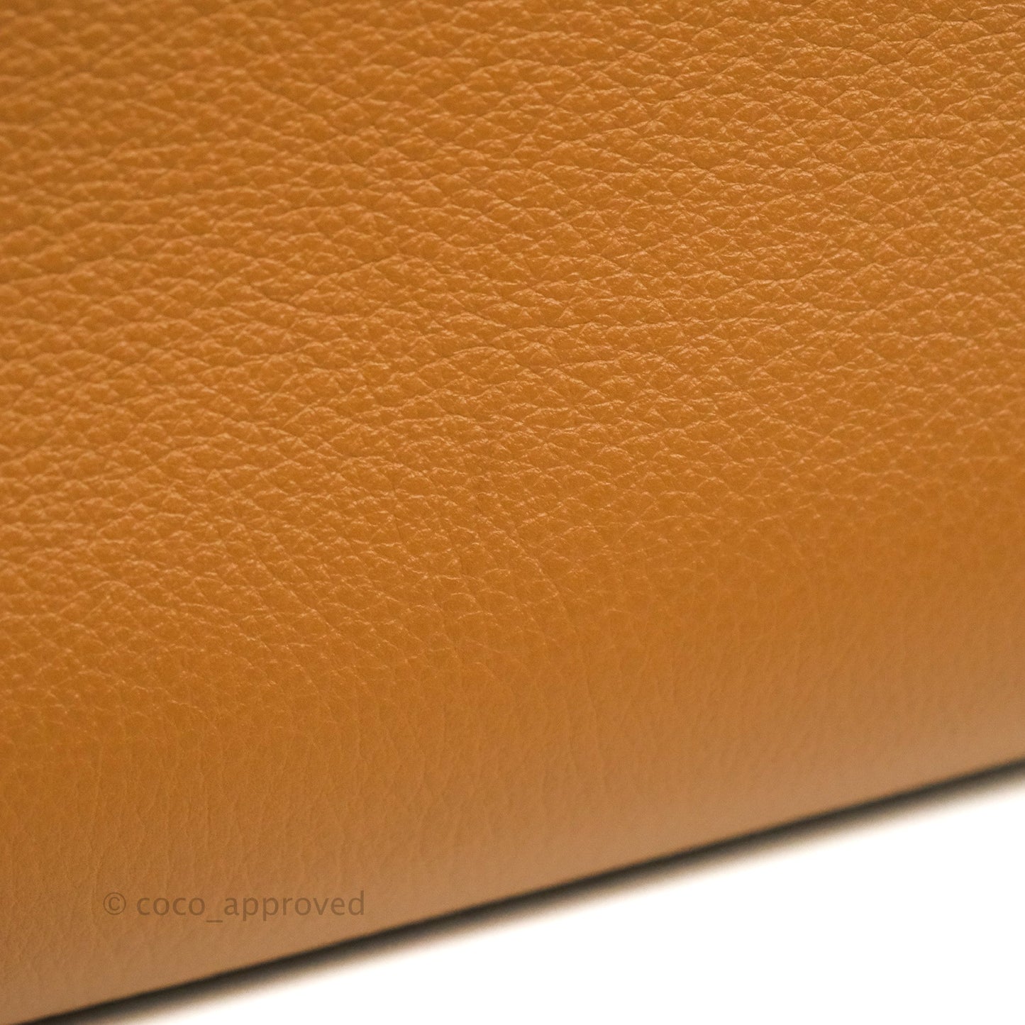 Delvaux Mini Brillant Bag Vegetal Rodeo Calf Gold Hardware