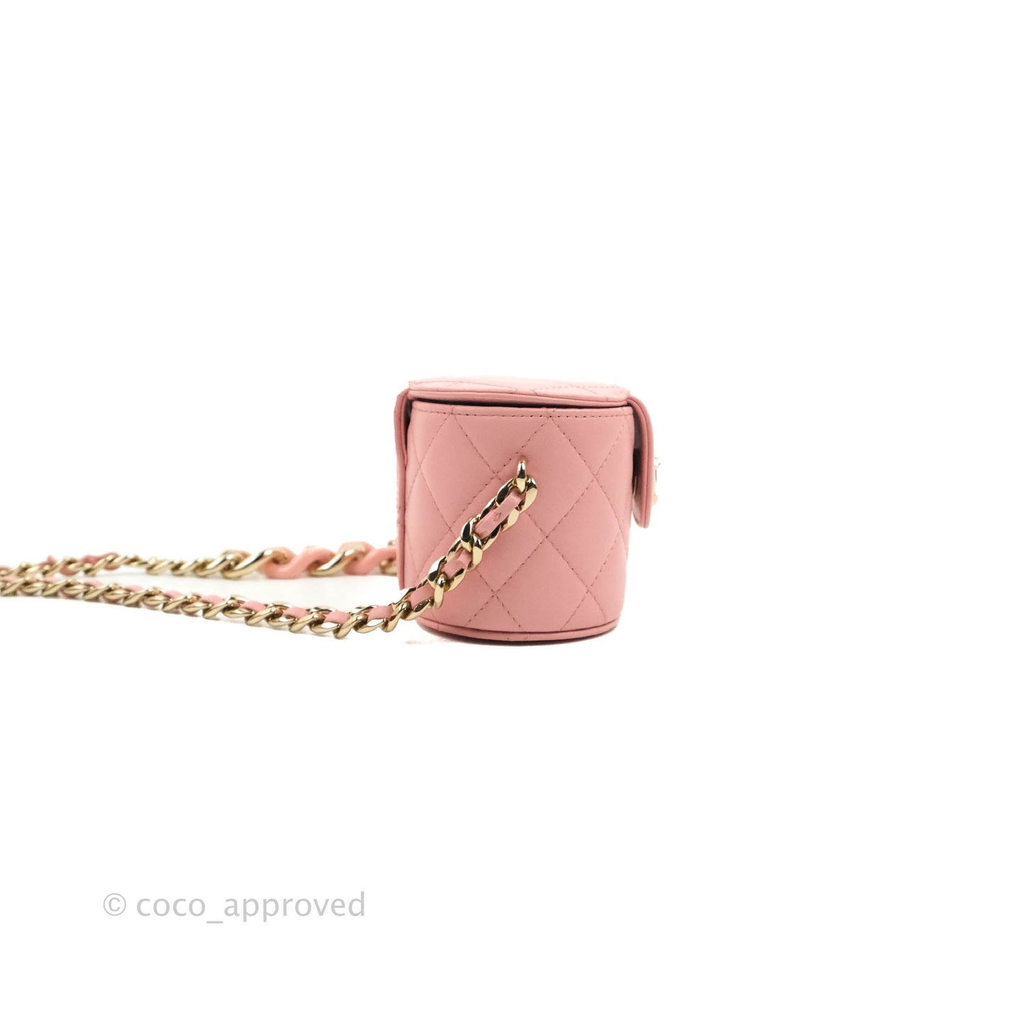 Chanel Quilted Small Resin Elegant Chain Vanity Case Lambskin Pink Gold Hardware