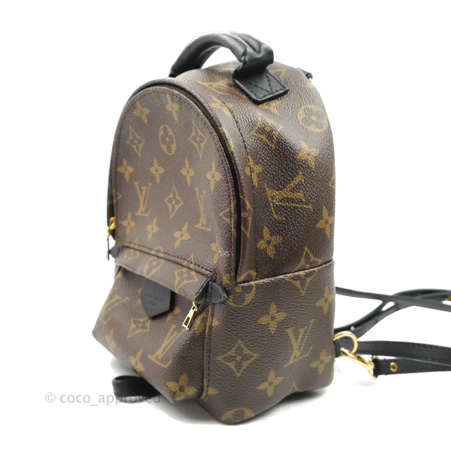 Louis Vuitton Monogram Mini Palm Springs Backpack⁣