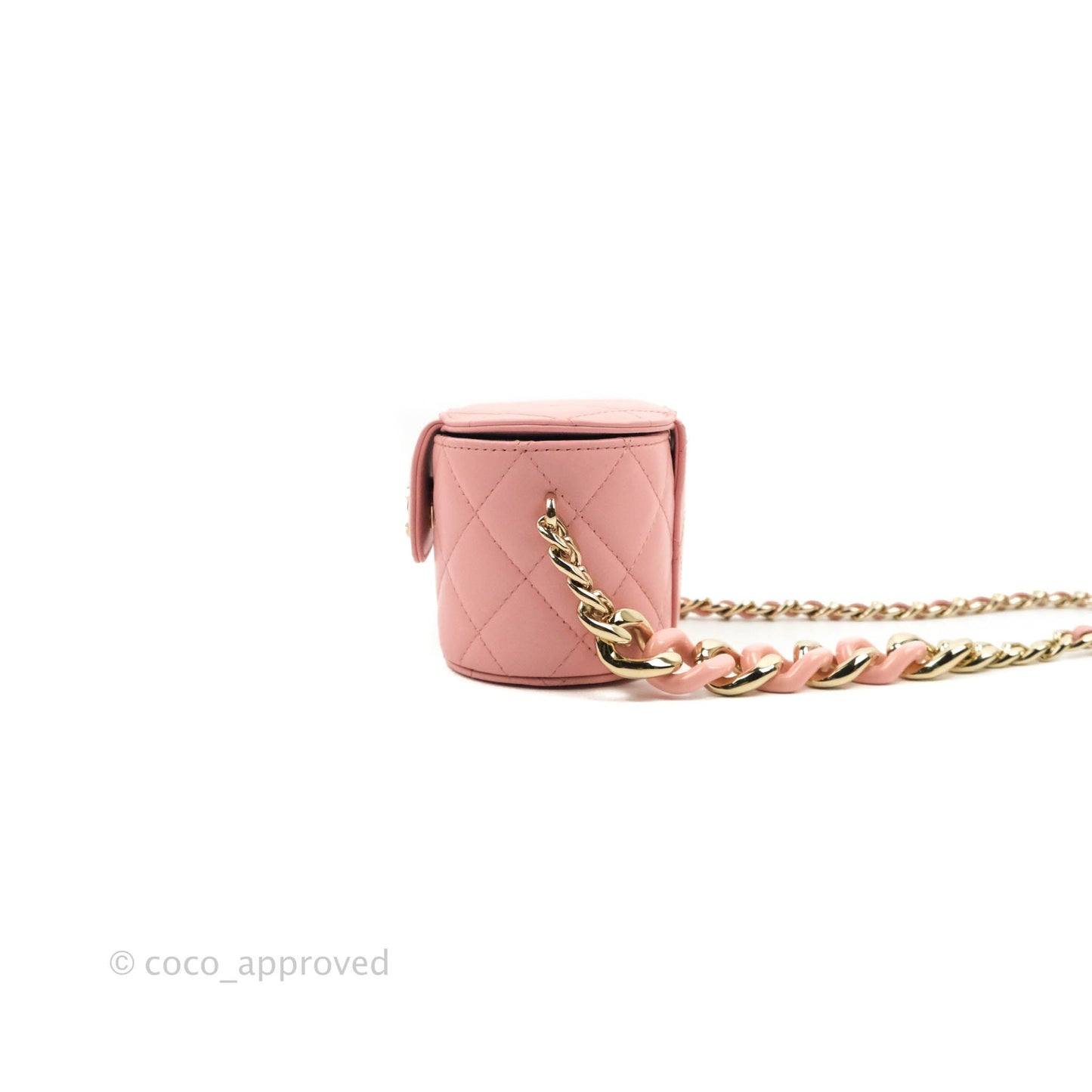 Chanel Quilted Small Resin Elegant Chain Vanity Case Lambskin Pink Gold Hardware