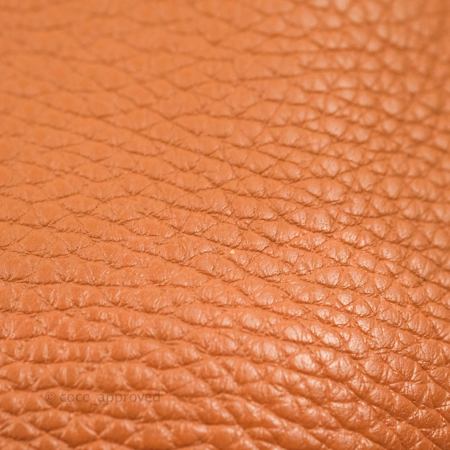 Loewe Vertical Strap Tote Tan Grained Leather