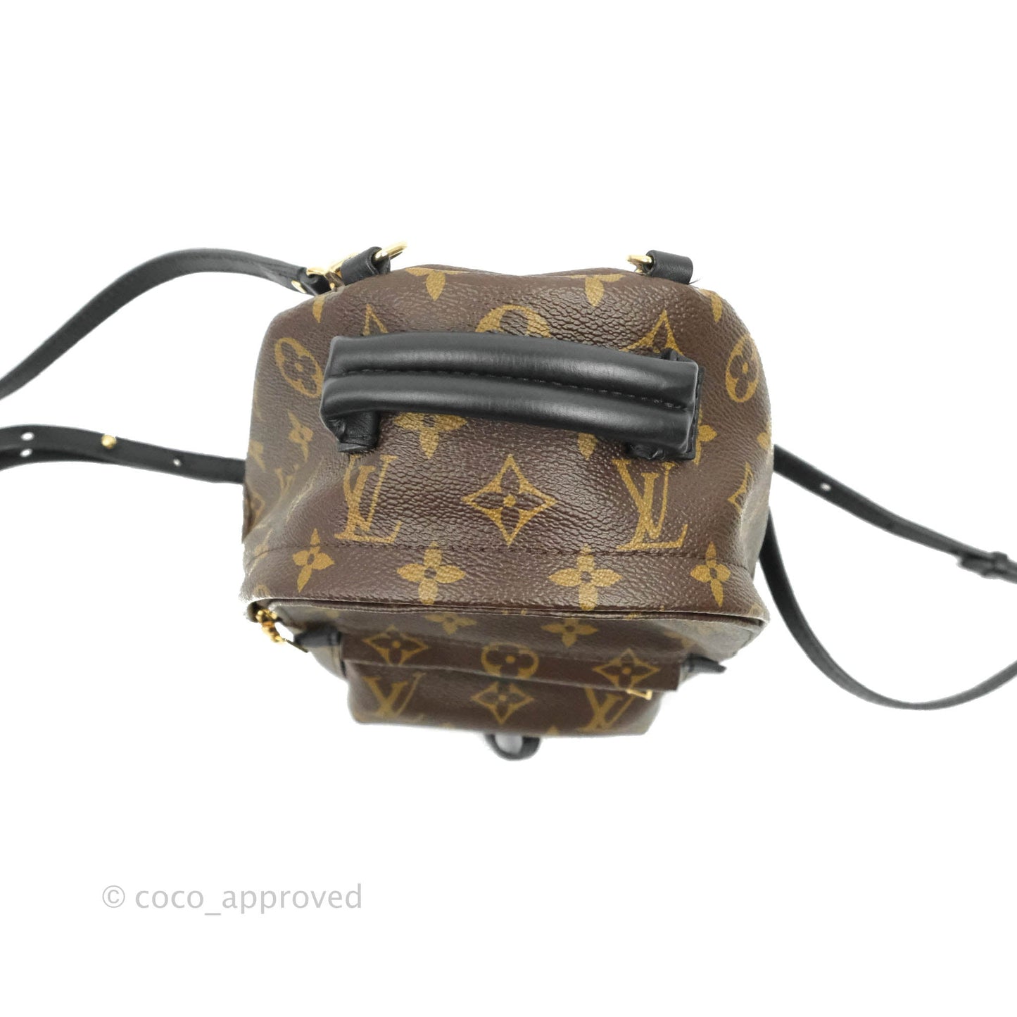 Louis Vuitton Monogram Mini Palm Springs Backpack⁣
