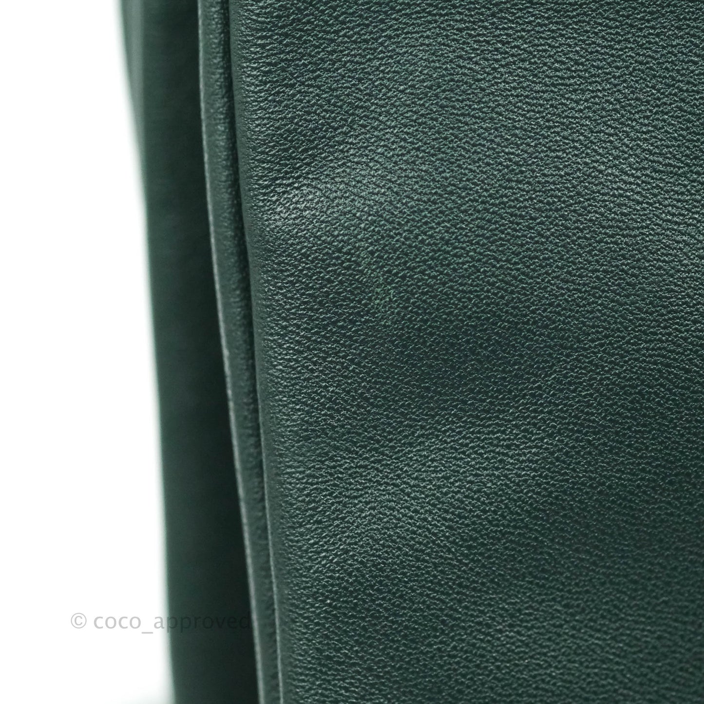 Celine Large Trio Crossbody Bag Dark Green Lambskin Gold Hardware