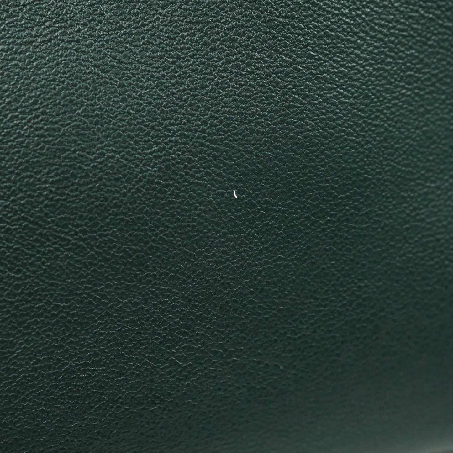 Celine Large Trio Crossbody Bag Dark Green Lambskin Gold Hardware