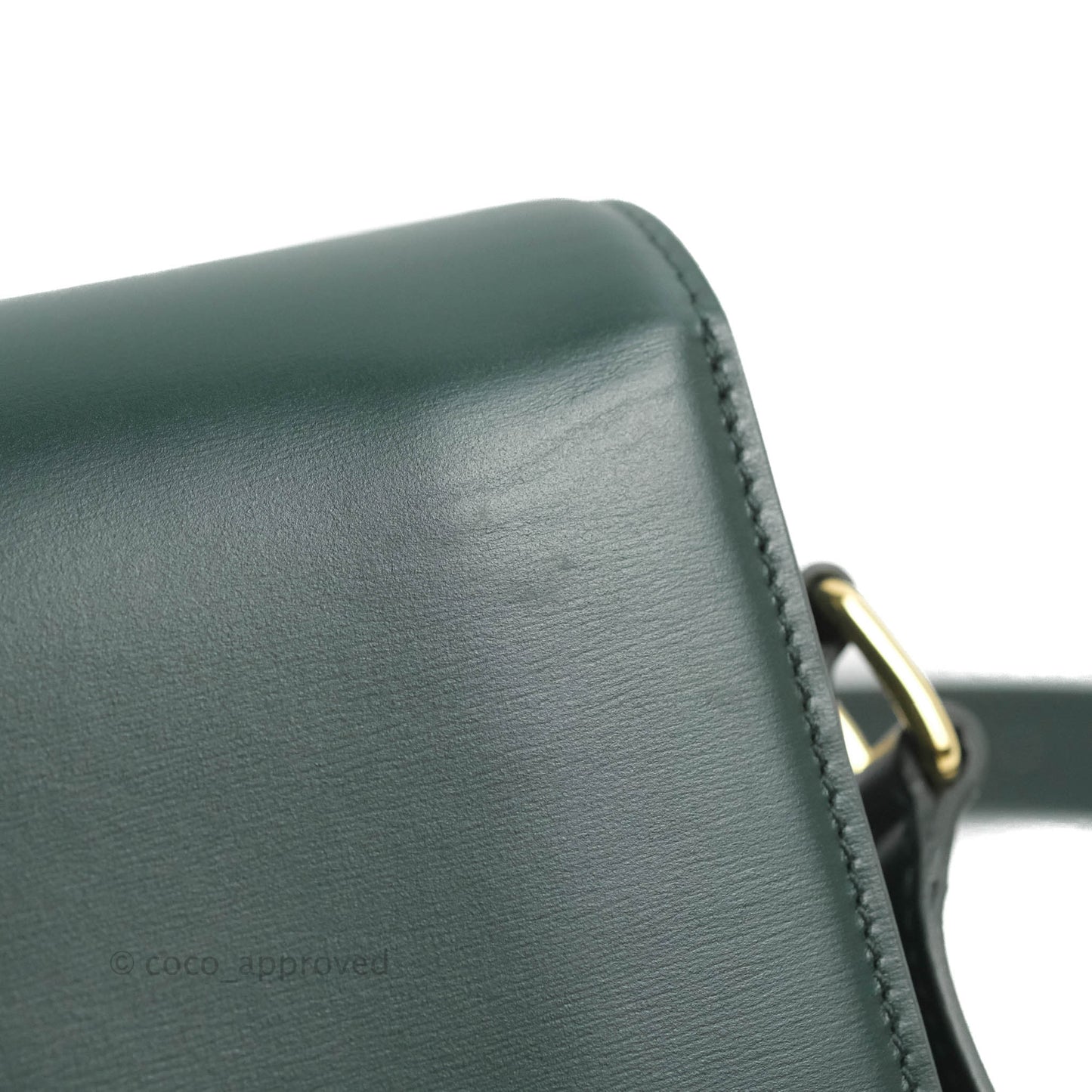 Celine Medium Triomphe Shiny Calfskin Amazone Green