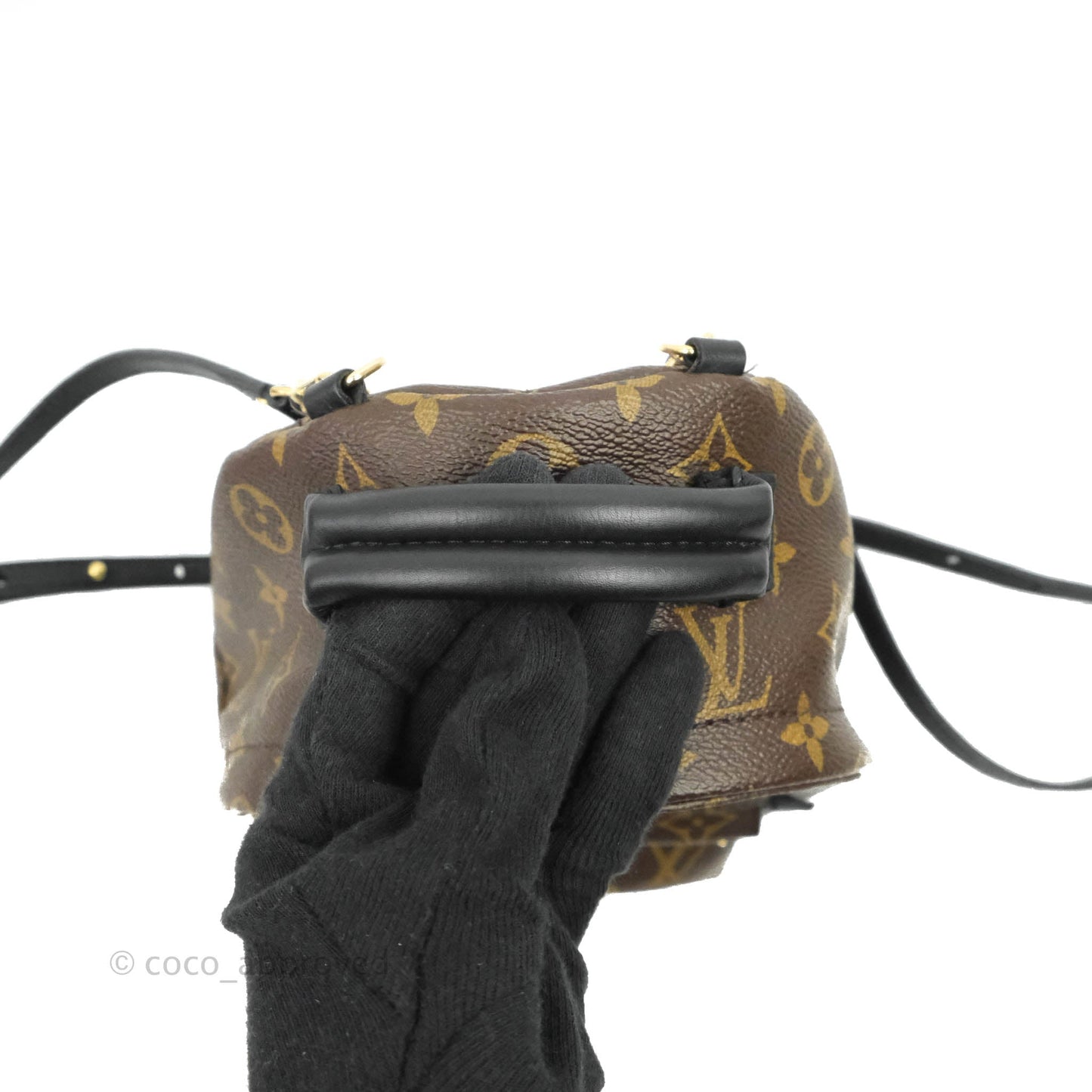 Louis Vuitton Monogram Mini Palm Springs Backpack⁣