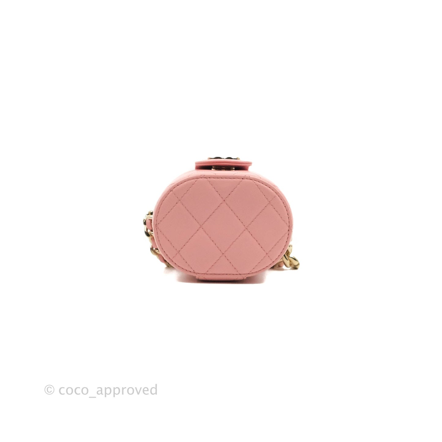 Chanel Quilted Small Resin Elegant Chain Vanity Case Lambskin Pink Gold Hardware