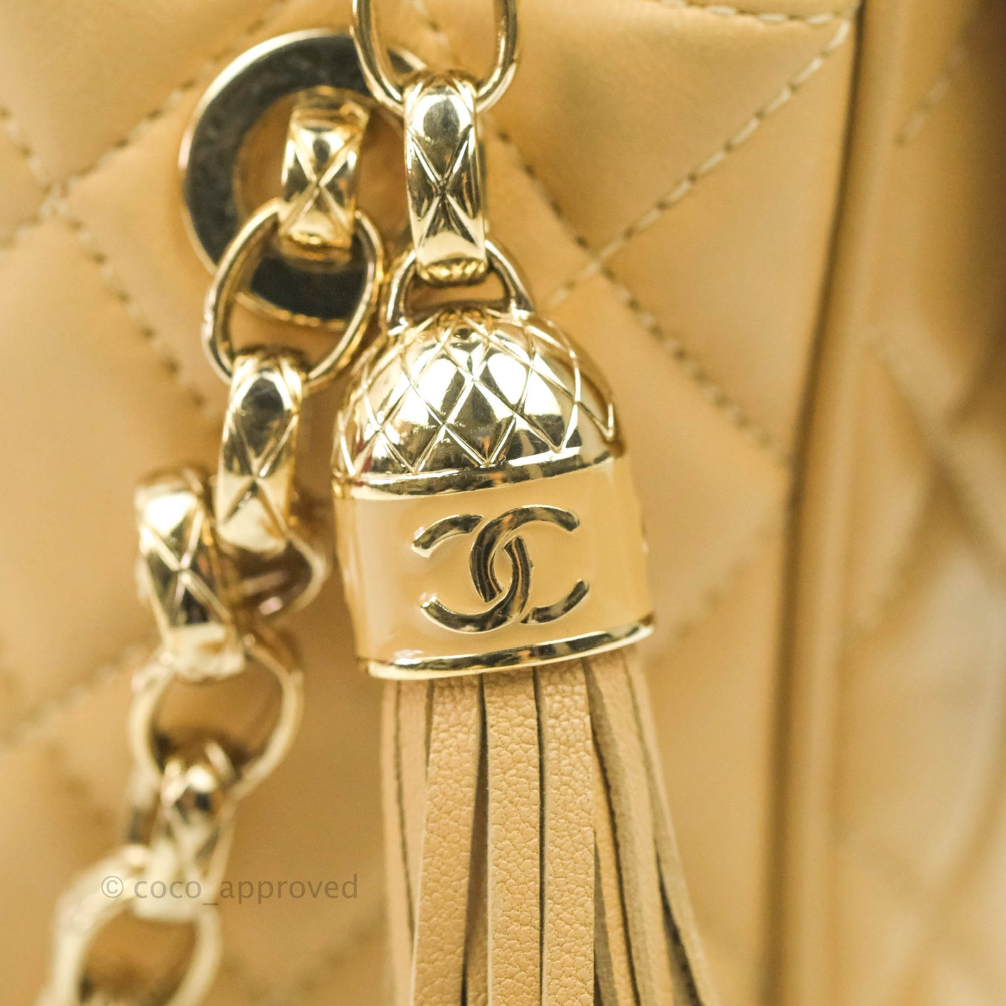 Chanel Calfskin Coco Vintage Camera Case Beige Gold Hardware