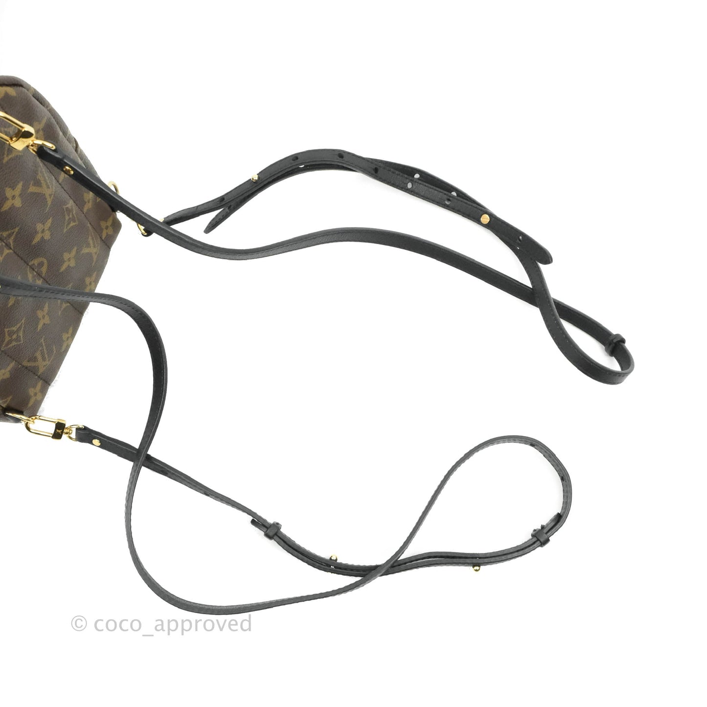 Louis Vuitton Monogram Mini Palm Springs Backpack⁣