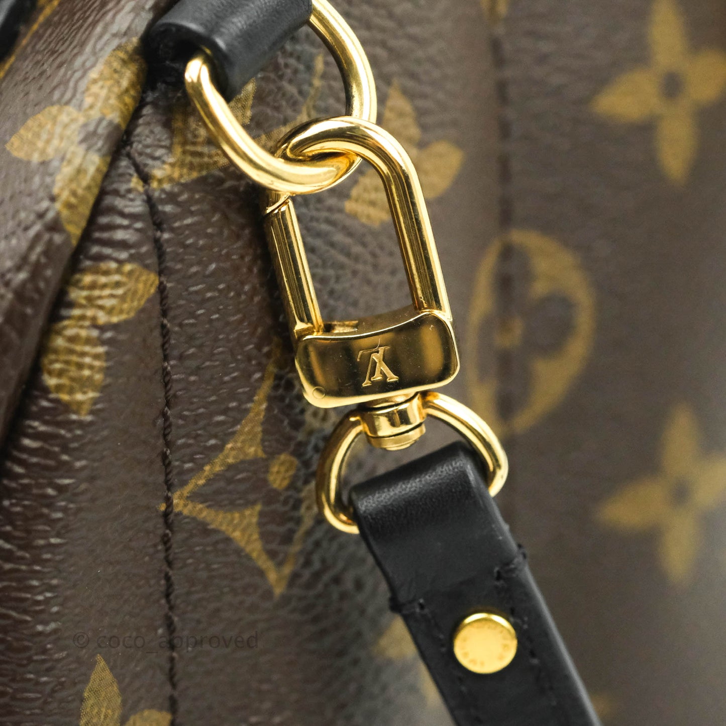 Louis Vuitton Monogram Mini Palm Springs Backpack⁣