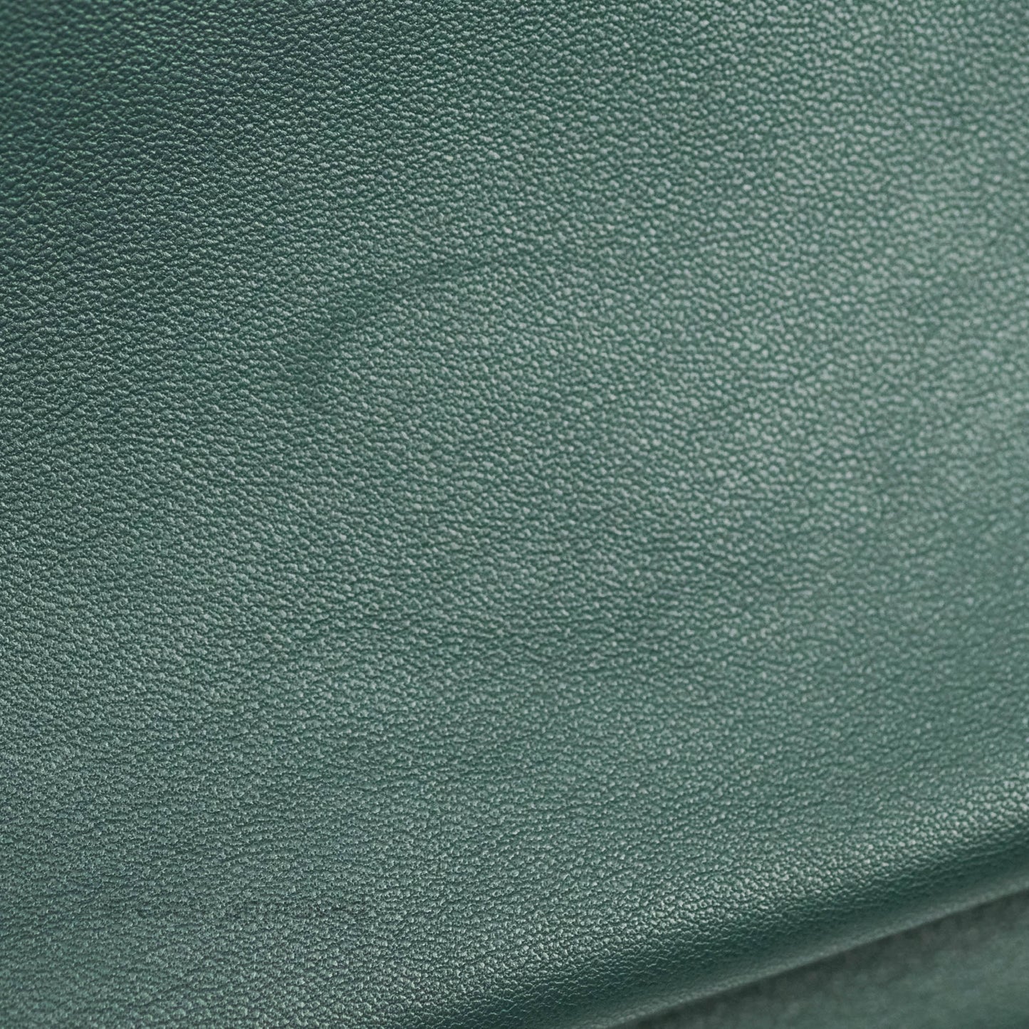 Celine Large Trio Crossbody Bag Dark Green Lambskin Gold Hardware