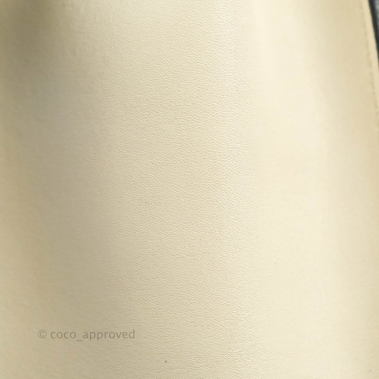 Celine Nano Luggage Grained Calfskin Gold Hardware White/Black/Beige