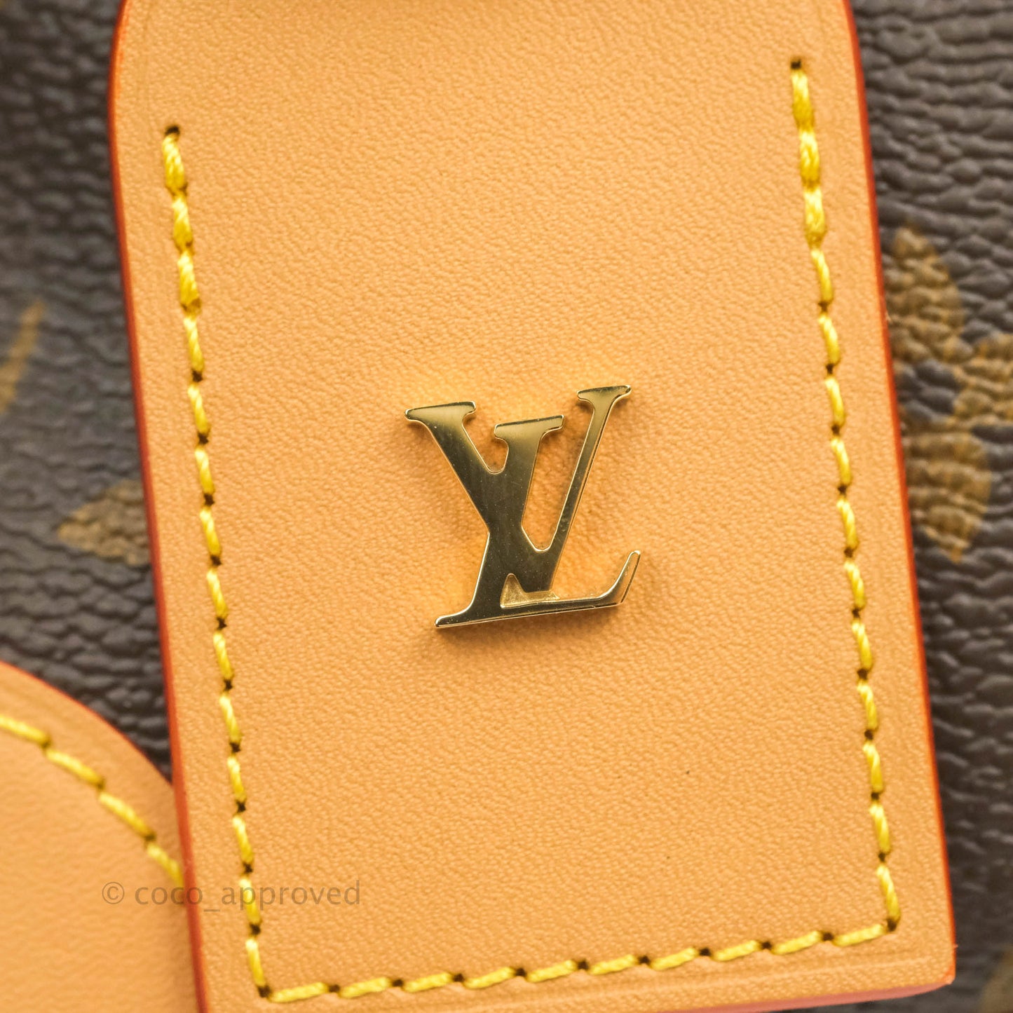 Louis Vuitton Monogram Noé Purse