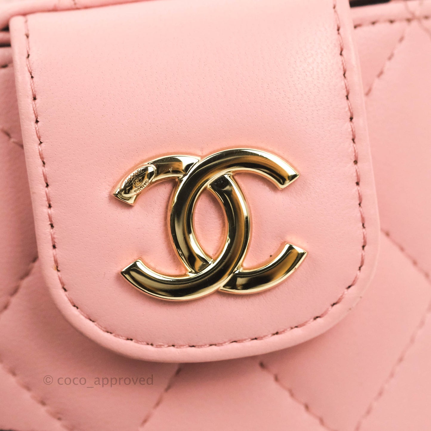 Chanel Quilted Small Resin Elegant Chain Vanity Case Lambskin Pink Gold Hardware