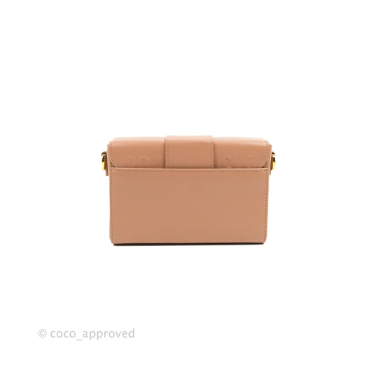 Christian Dior 30 Montaigne Box Bag Rose Des Vents Calfskin