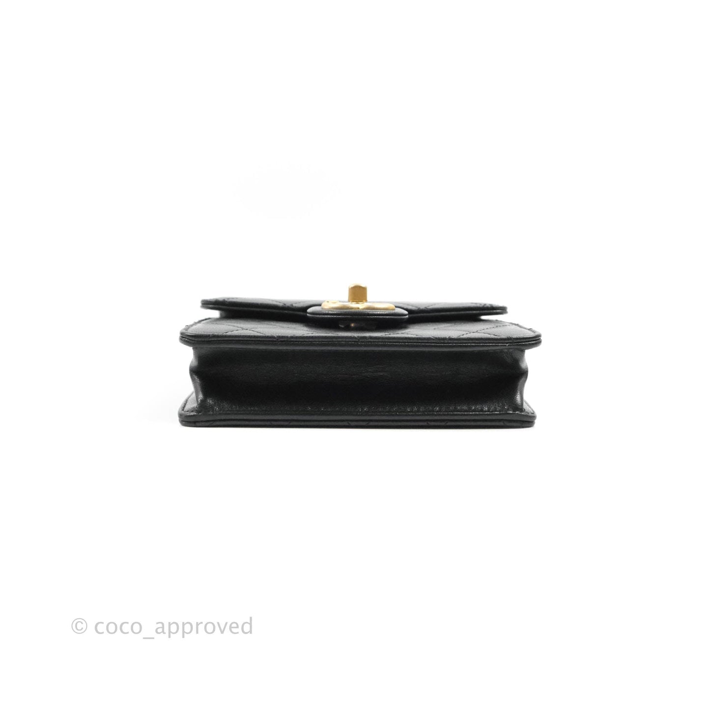 Chanel Quilted Chic Pearls Flap Black Goatskin Aged Gold Hardware
