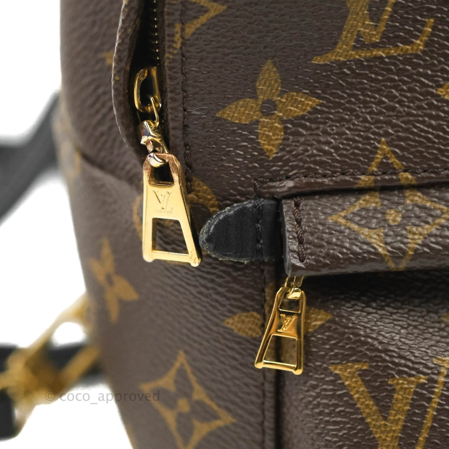 Louis Vuitton Monogram Mini Palm Springs Backpack⁣