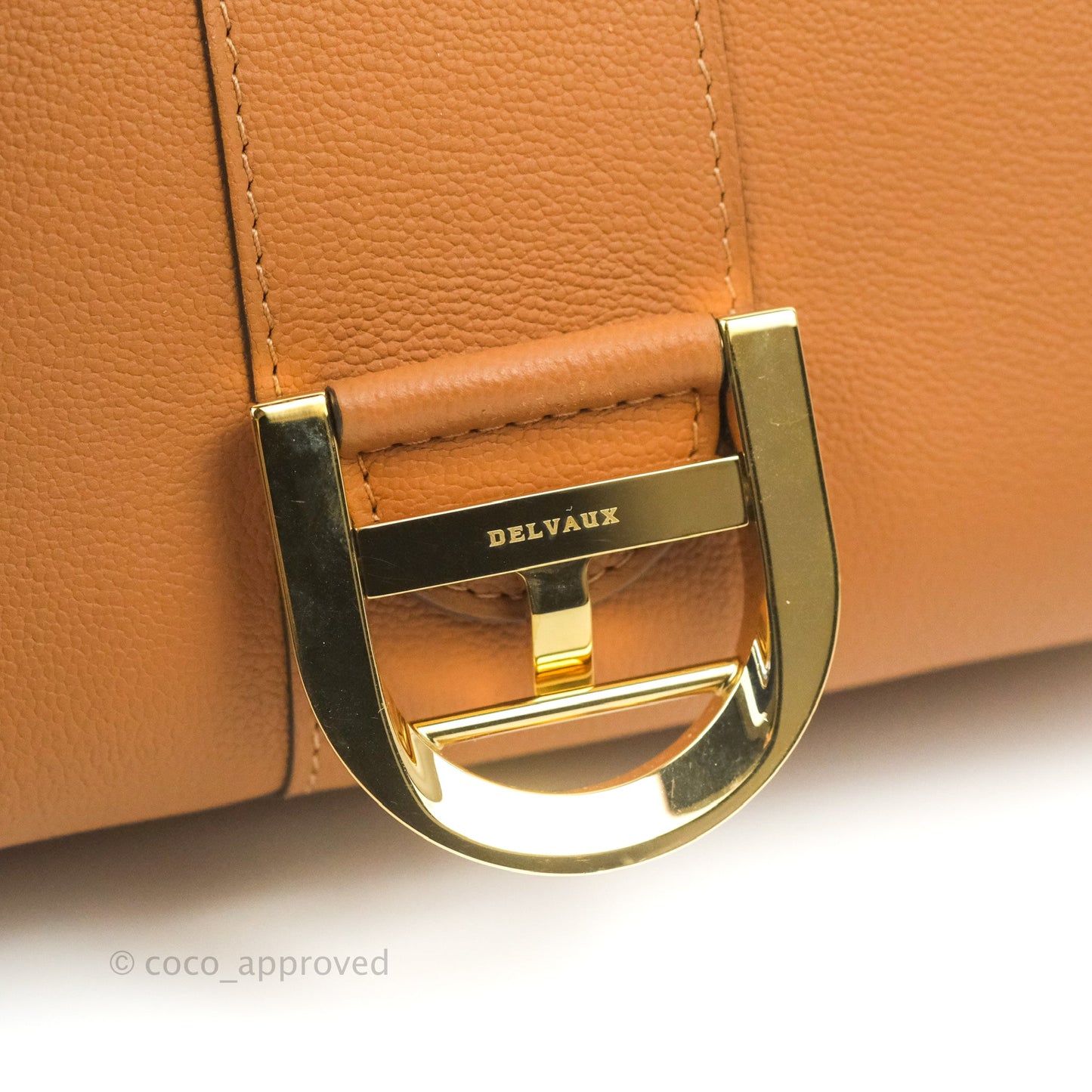 Delvaux Mini Brillant Bag Vegetal Rodeo Calf Gold Hardware