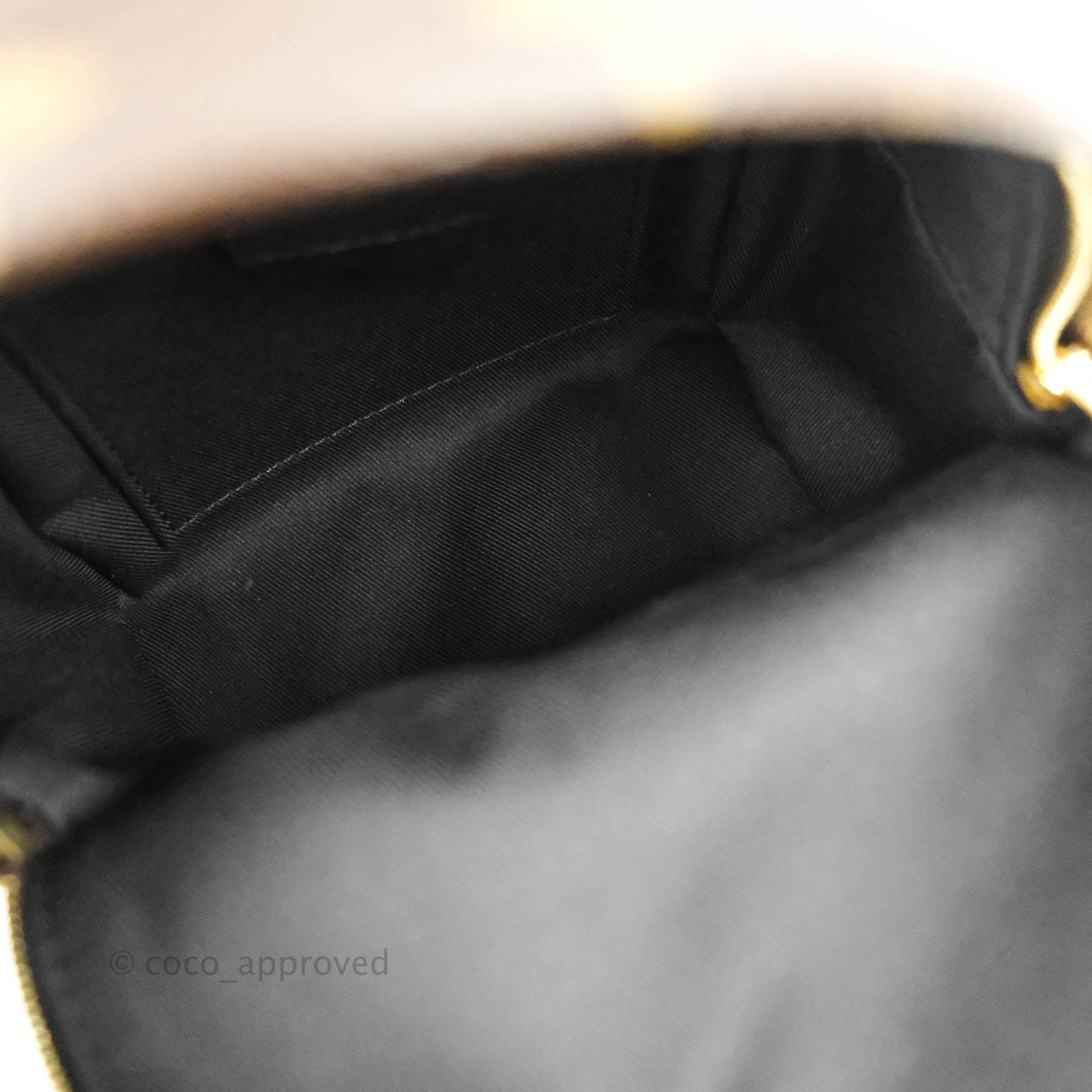 Louis Vuitton Monogram Mini Palm Springs Backpack⁣