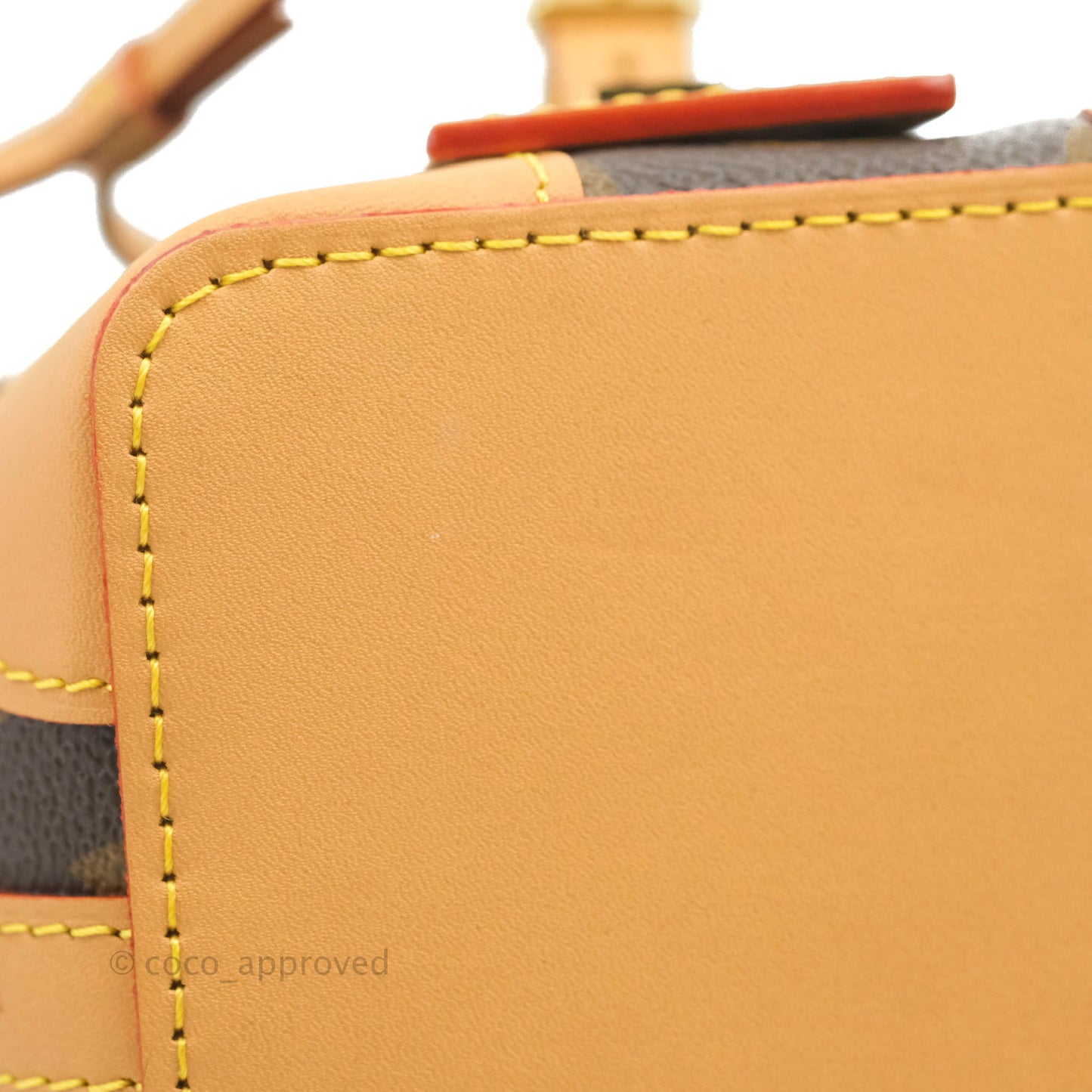 Louis Vuitton Monogram Noé Purse