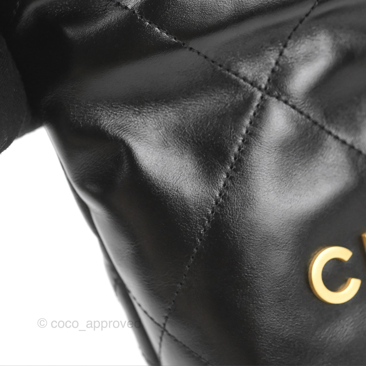 Chanel 22 Mini Bag Black Crumpled Calfskin