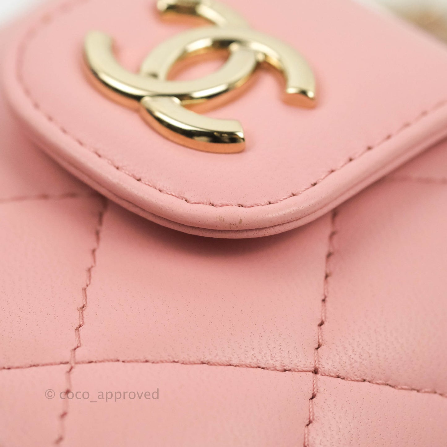 Chanel Quilted Small Resin Elegant Chain Vanity Case Lambskin Pink Gold Hardware