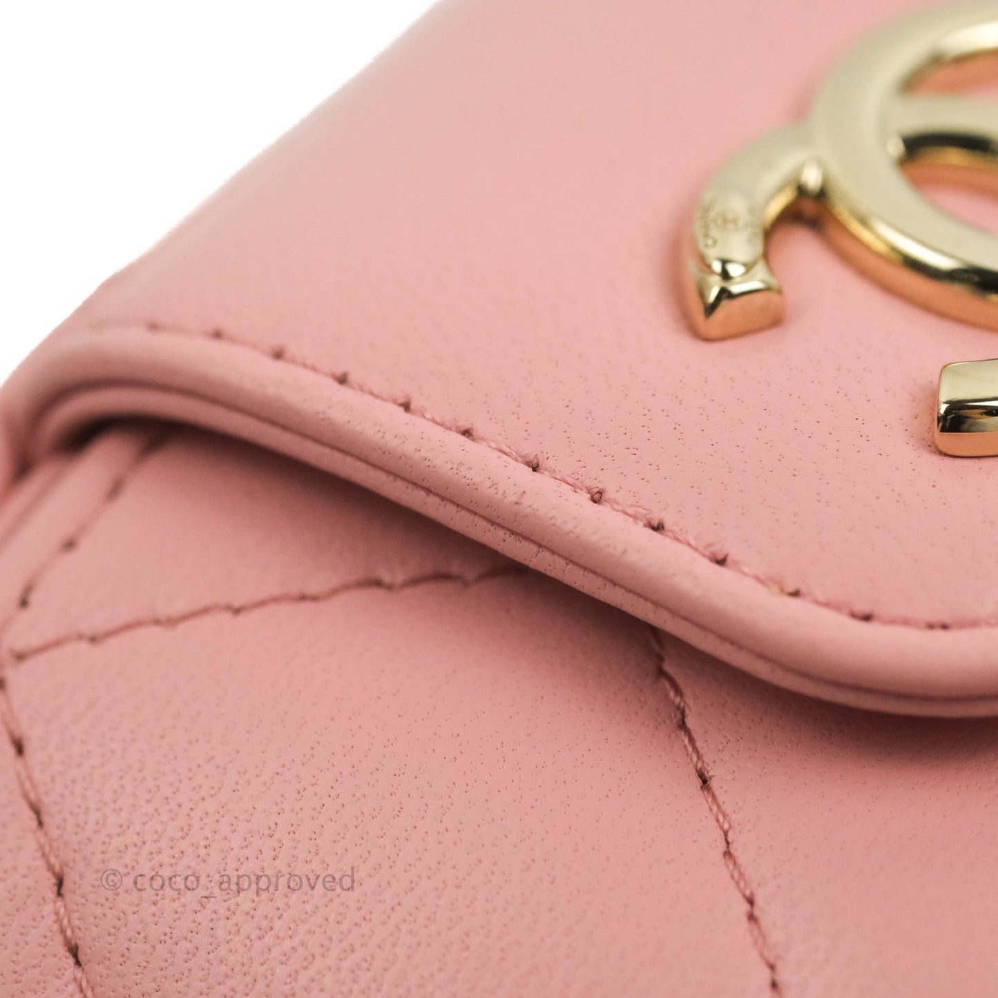 Chanel Quilted Small Resin Elegant Chain Vanity Case Lambskin Pink Gold Hardware