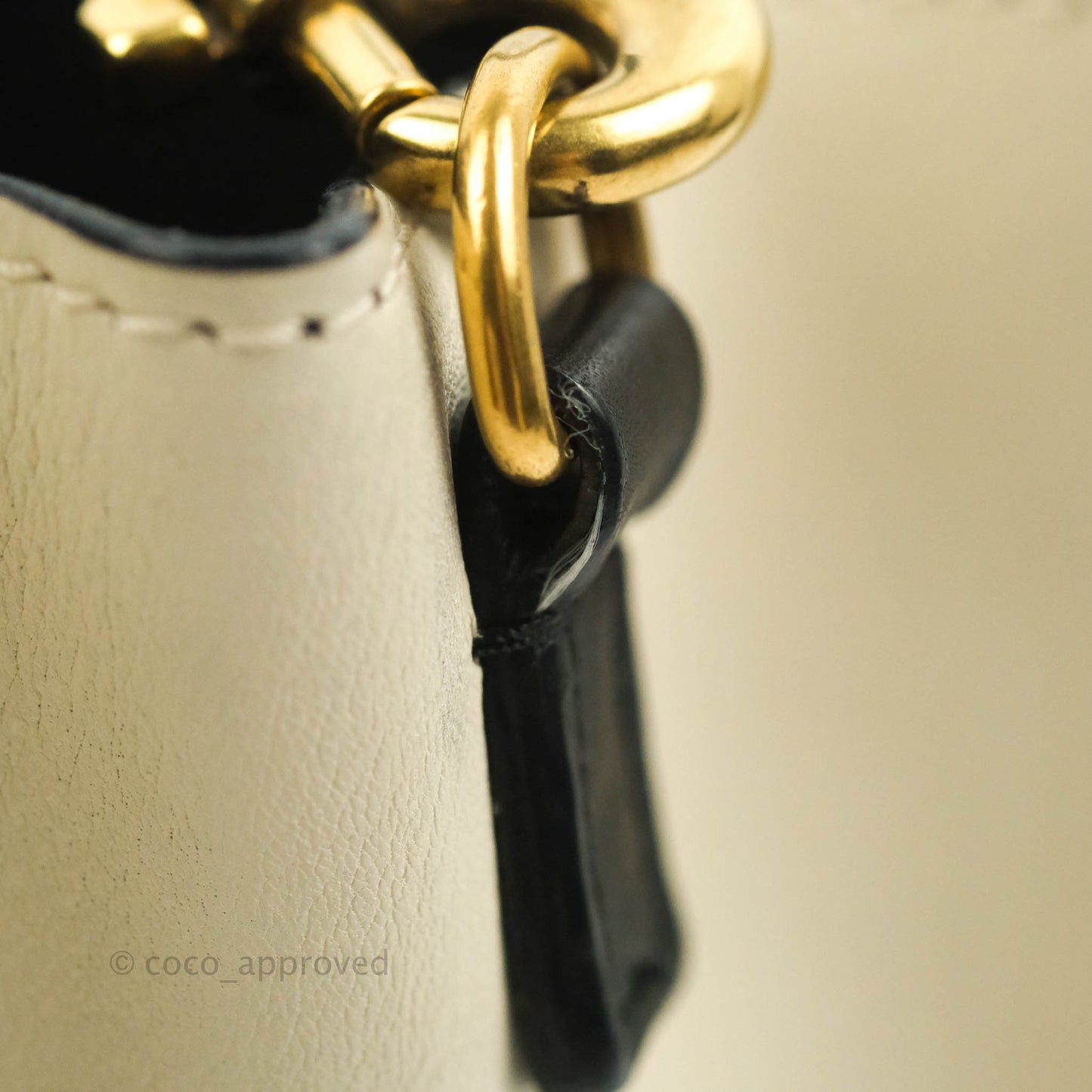 Celine Nano Luggage Grained Calfskin Gold Hardware White/Black/Beige