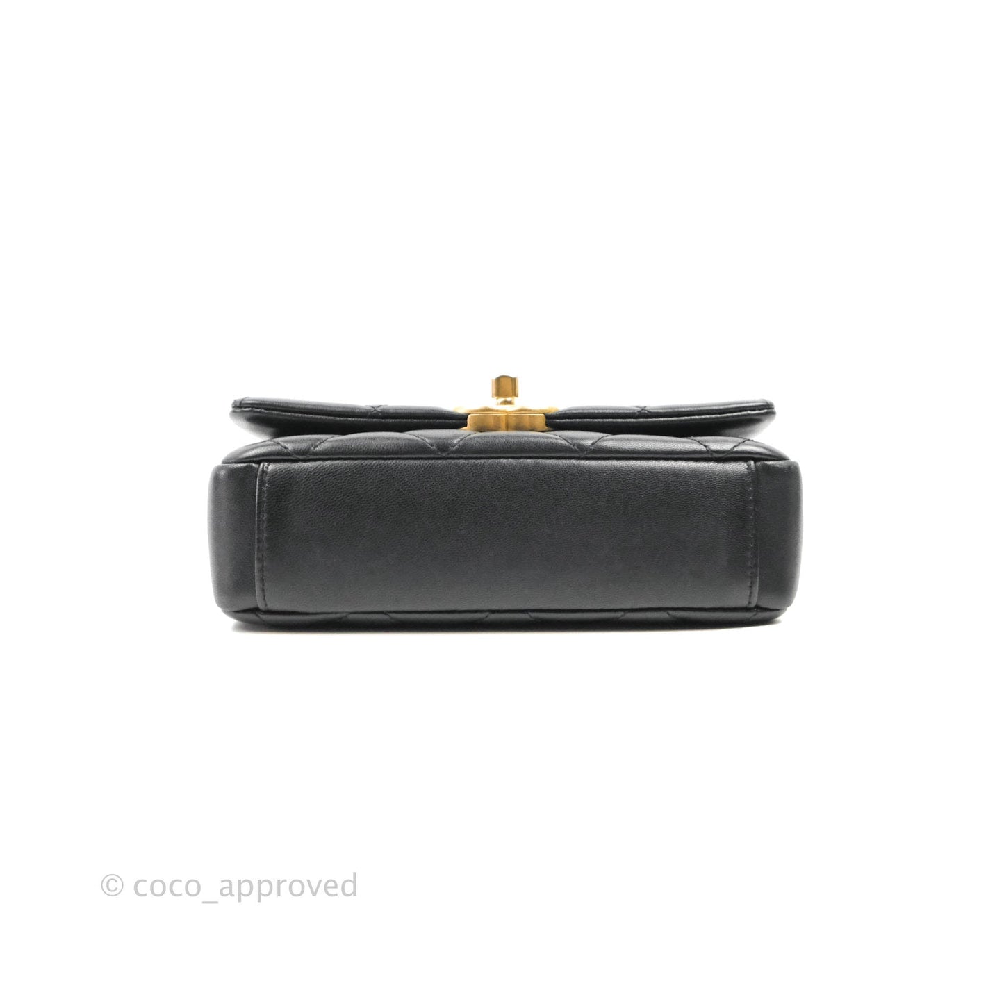 Chanel Entwined Chain Bag Black Lambskin Aged Gold Hardware