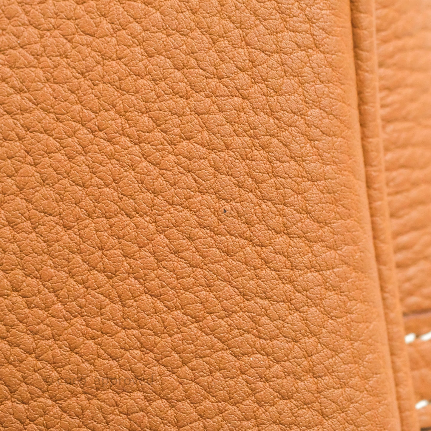 Hermès Garden Party 36 Ecru/Desert/Gold Canvas