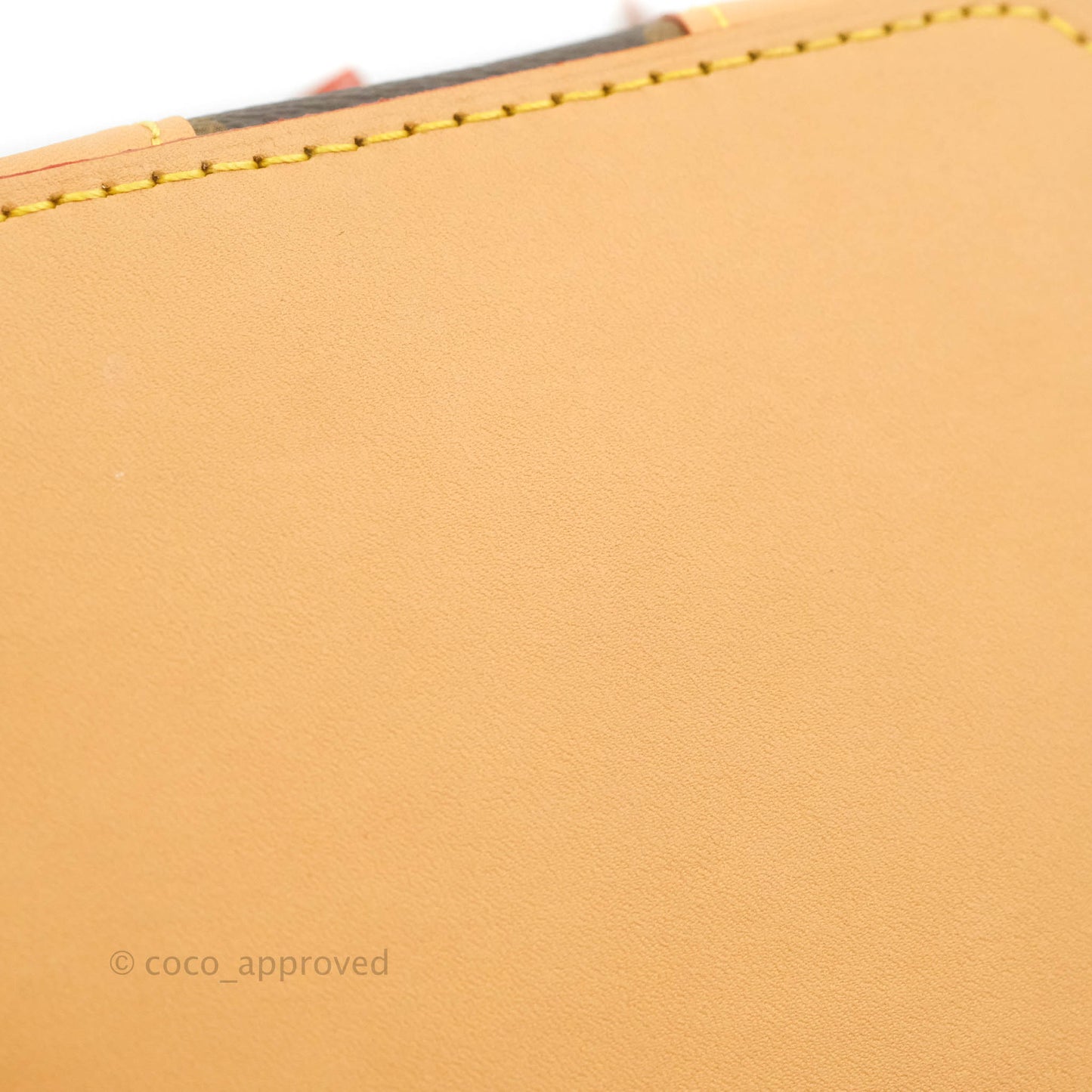 Louis Vuitton Monogram Noé Purse
