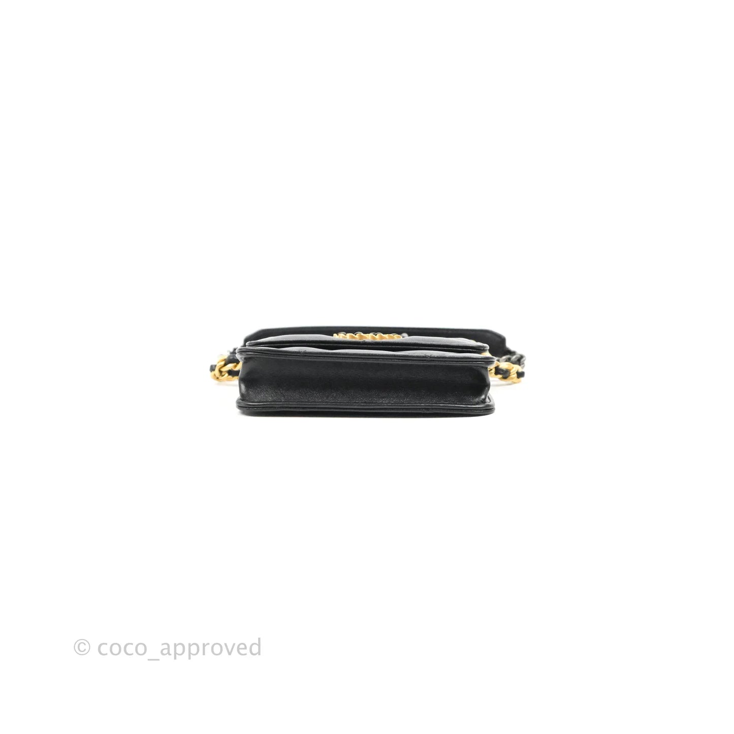 Chanel 19 Card Holder With Chain Black Mixed Hardware