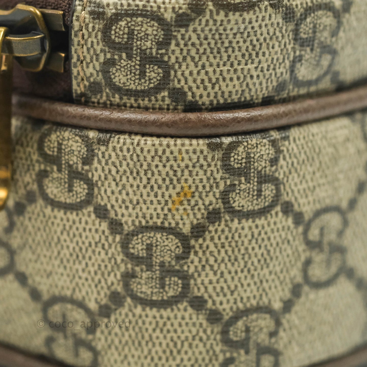 Gucci Beige Neo Vintage Mini Bag