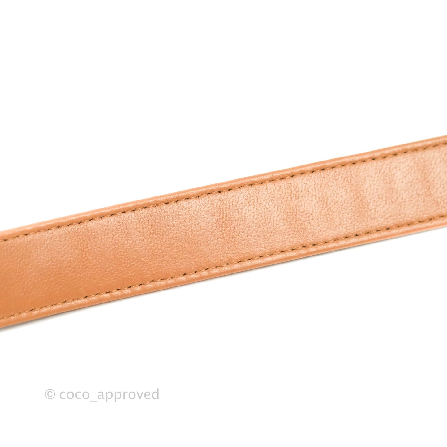 Chanel 19 Wallet on Chain WOC Dark Beige Caramel Lambskin Mixed Hardware