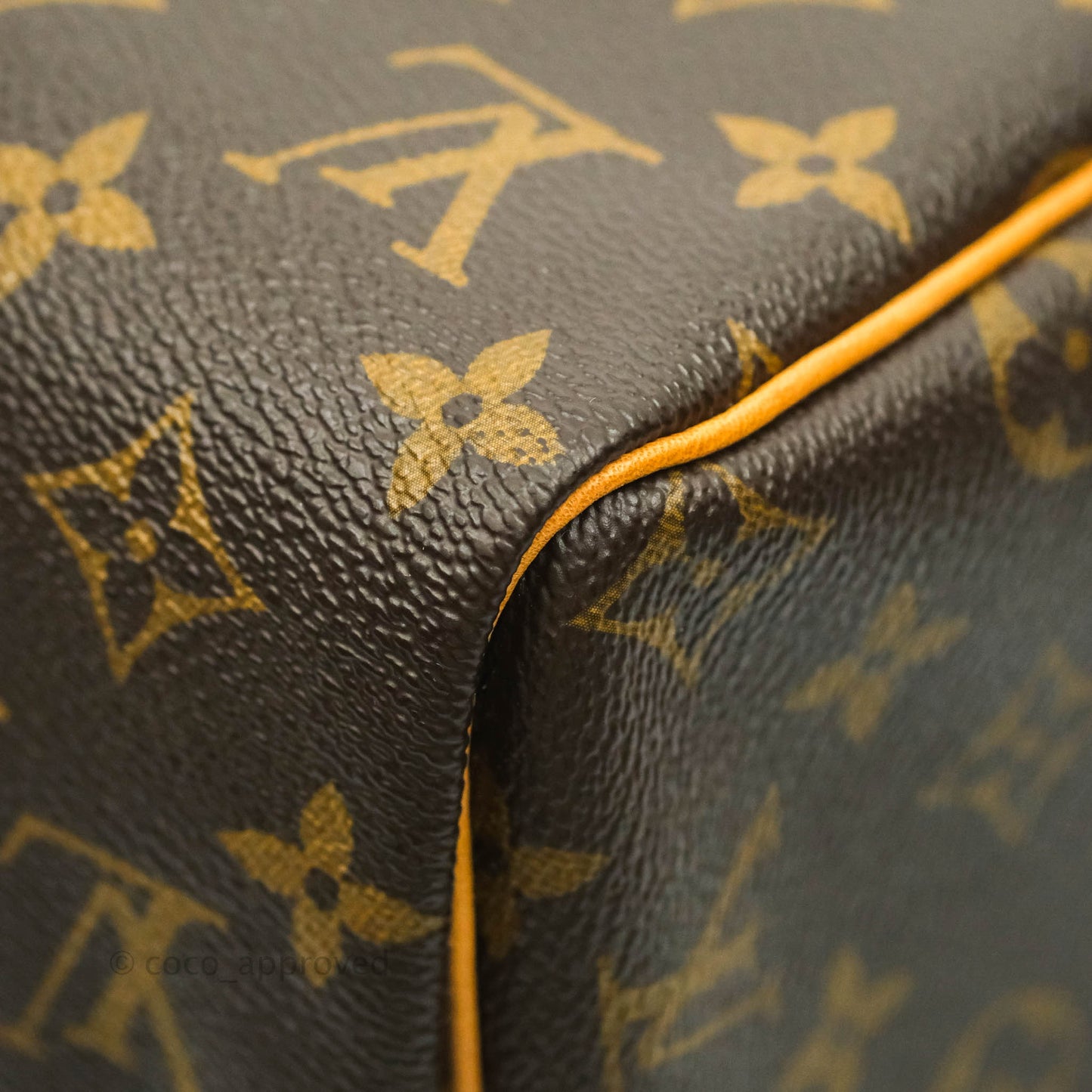 Louis Vuitton Speedy 30 Monogram Canvas