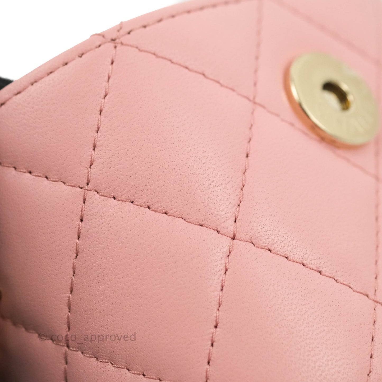 Chanel Quilted Small Resin Elegant Chain Vanity Case Lambskin Pink Gold Hardware