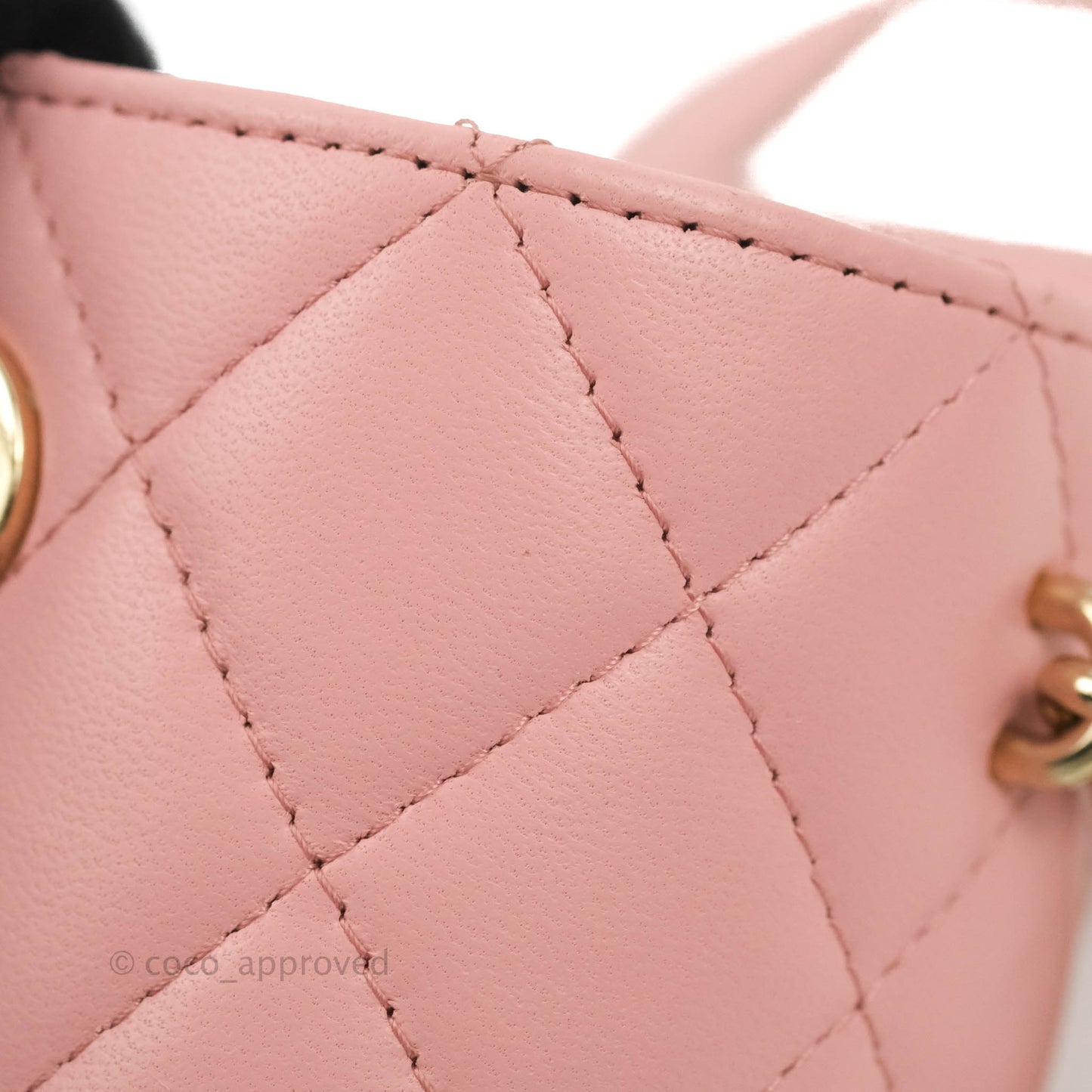Chanel Quilted Small Resin Elegant Chain Vanity Case Lambskin Pink Gold Hardware