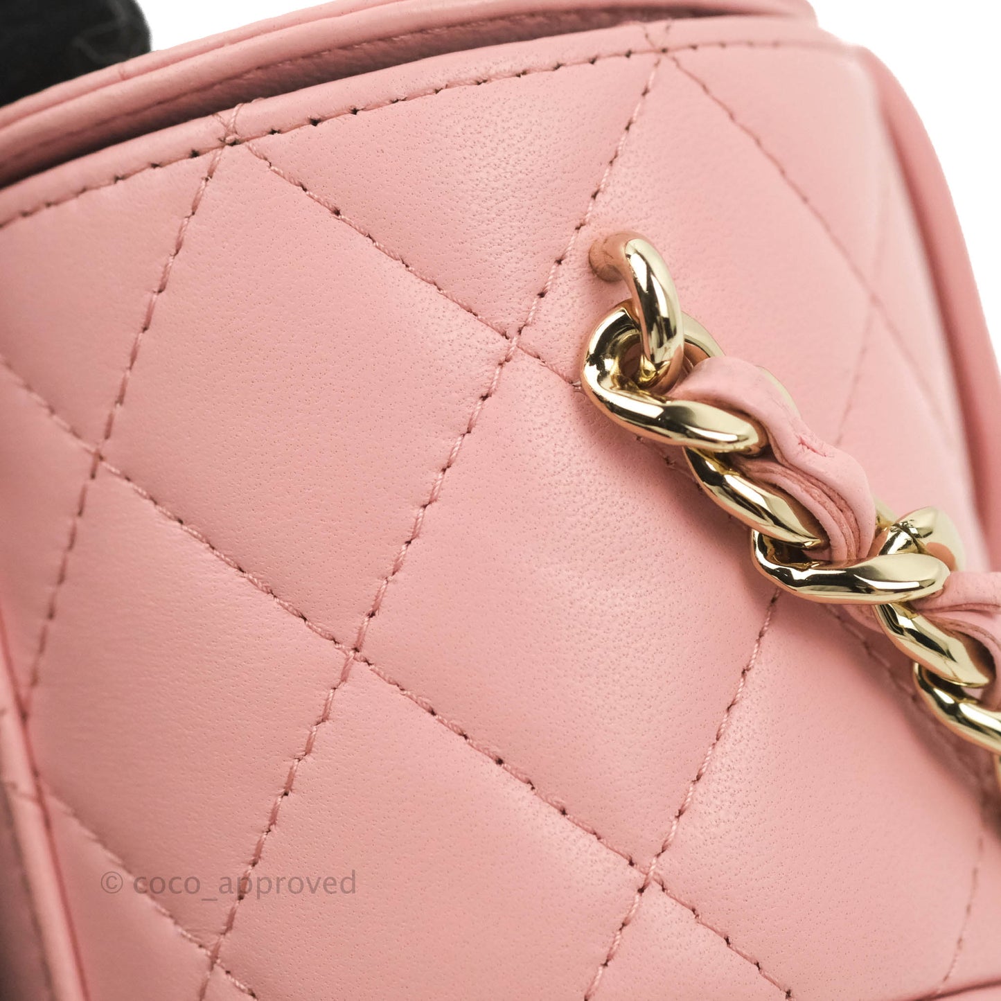 Chanel Quilted Small Resin Elegant Chain Vanity Case Lambskin Pink Gold Hardware