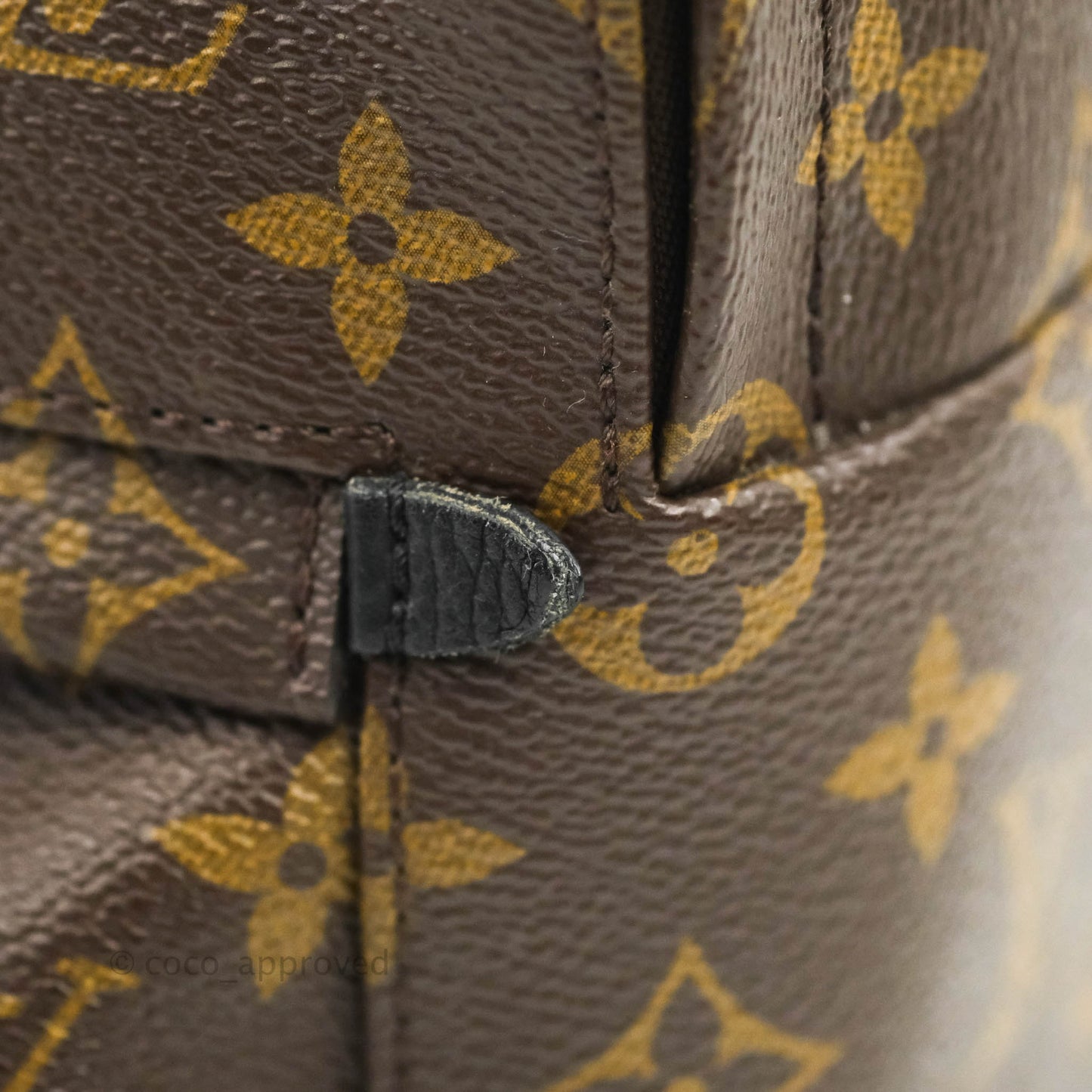 Louis Vuitton Monogram Mini Palm Springs Backpack⁣